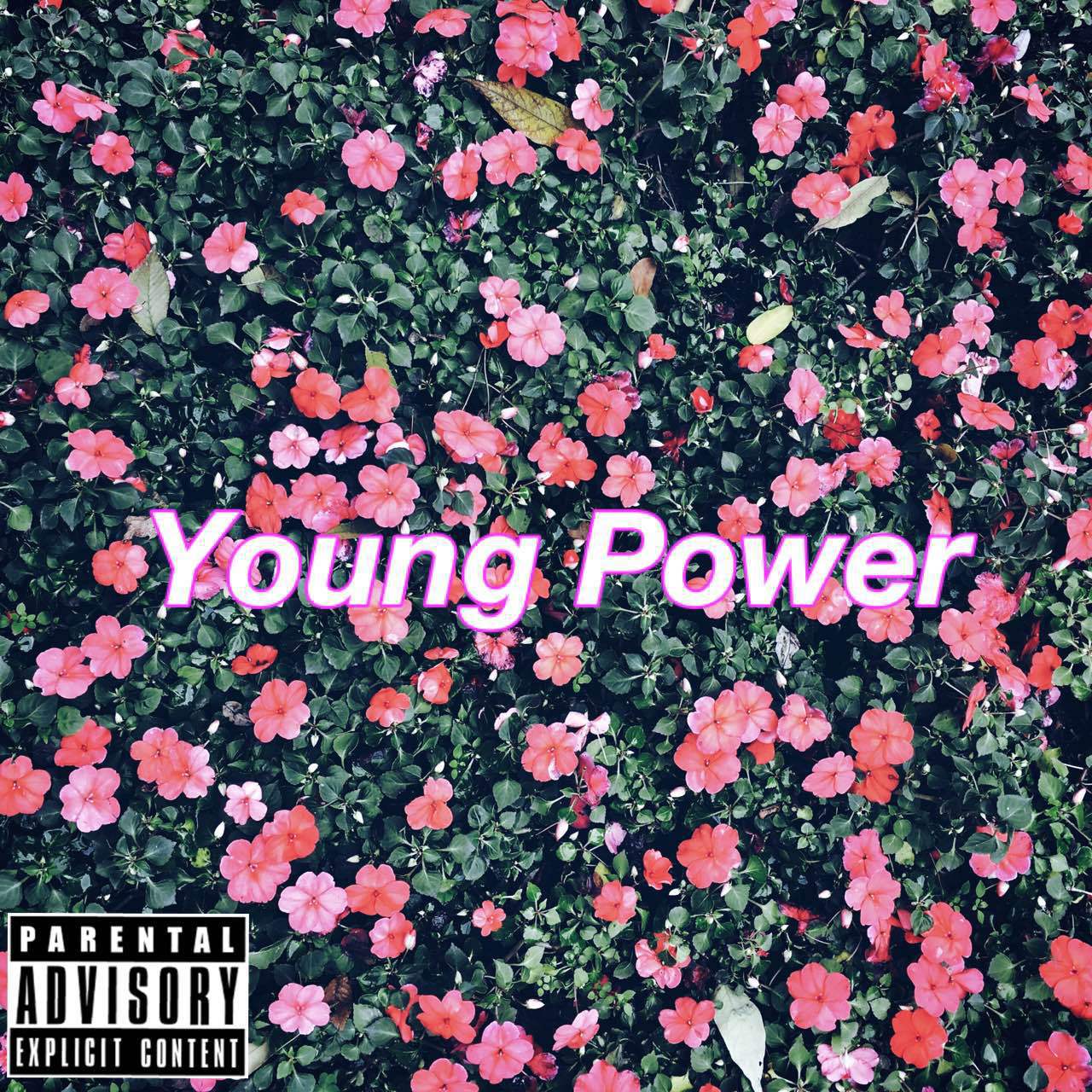 YOUNG POWER