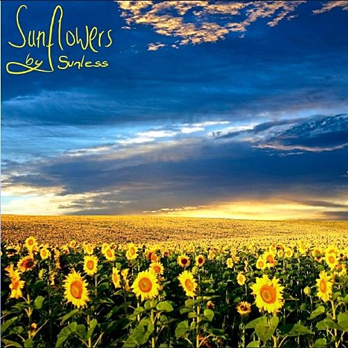 Sunflowers By Sunless