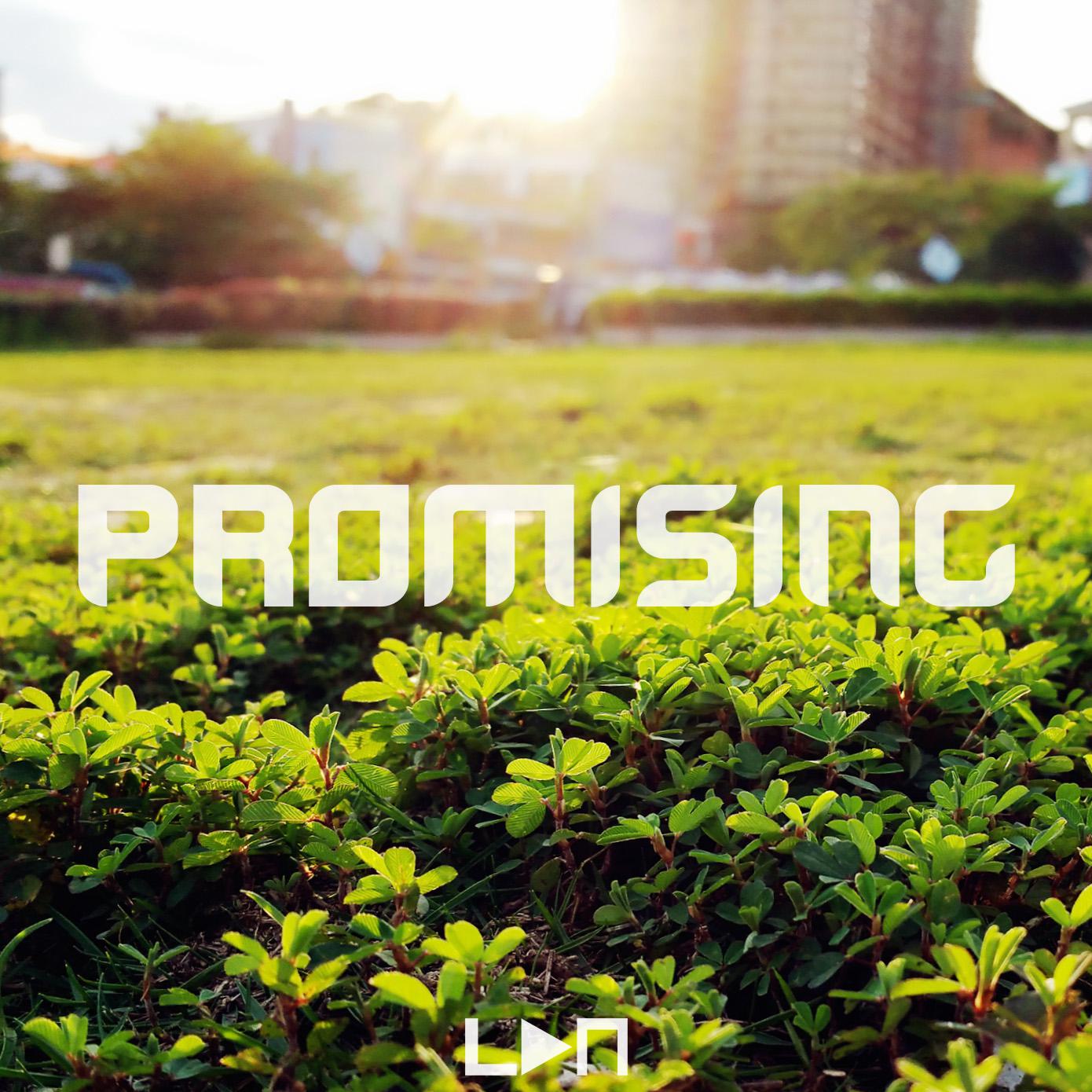 Promising (Original Mix)