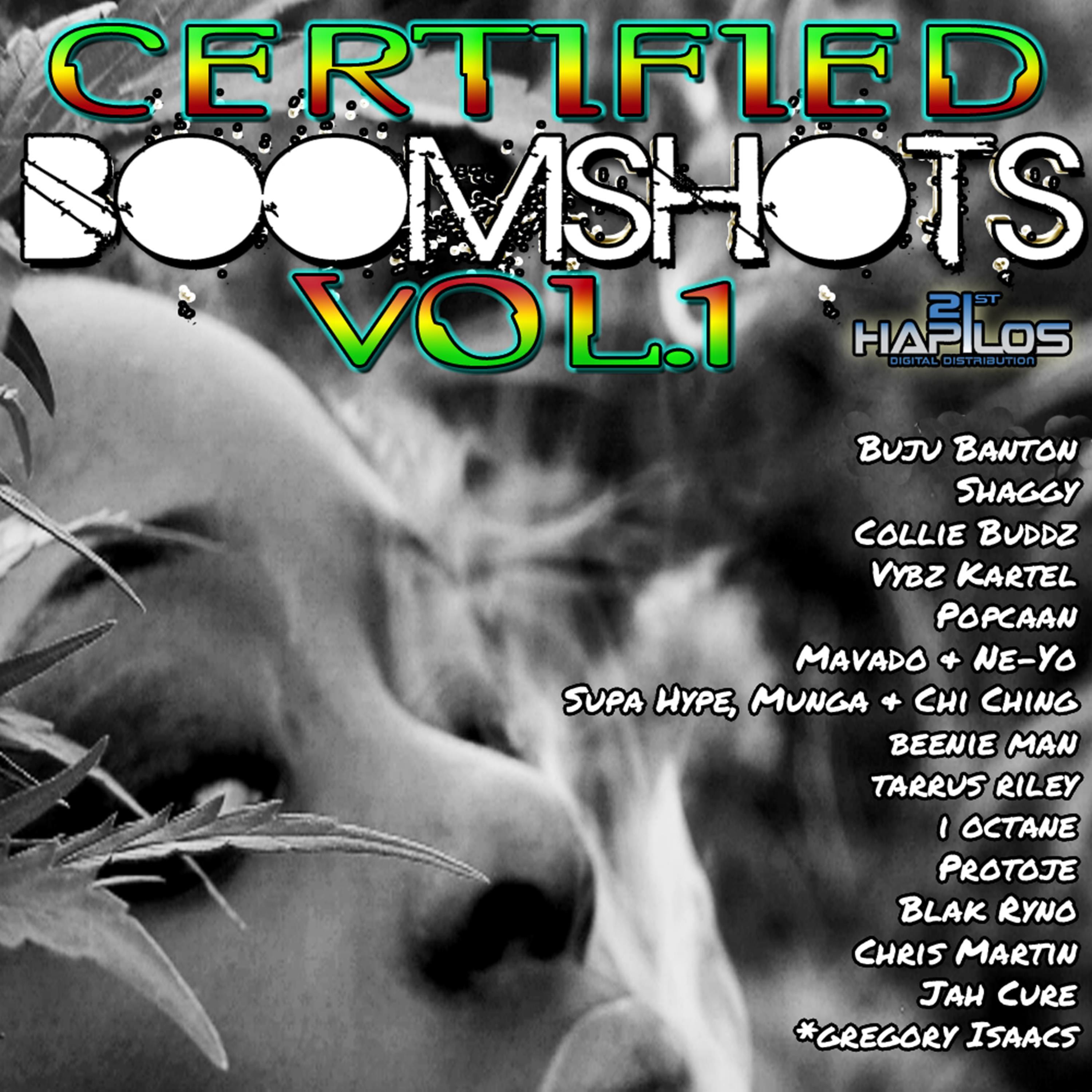 Certified Boomshots, Vol. 1