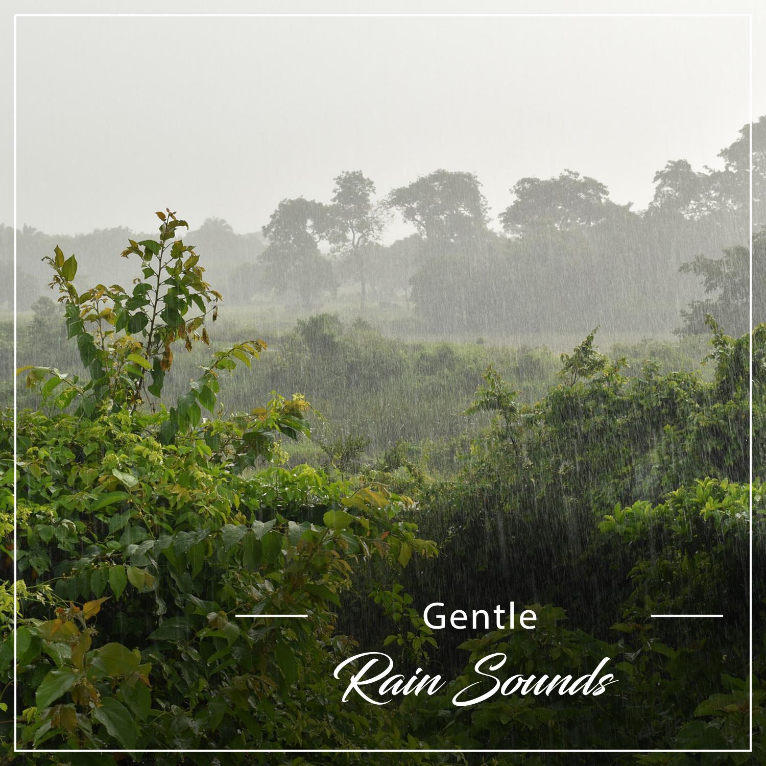 16 Gentle Rain Sounds for Inner Peace