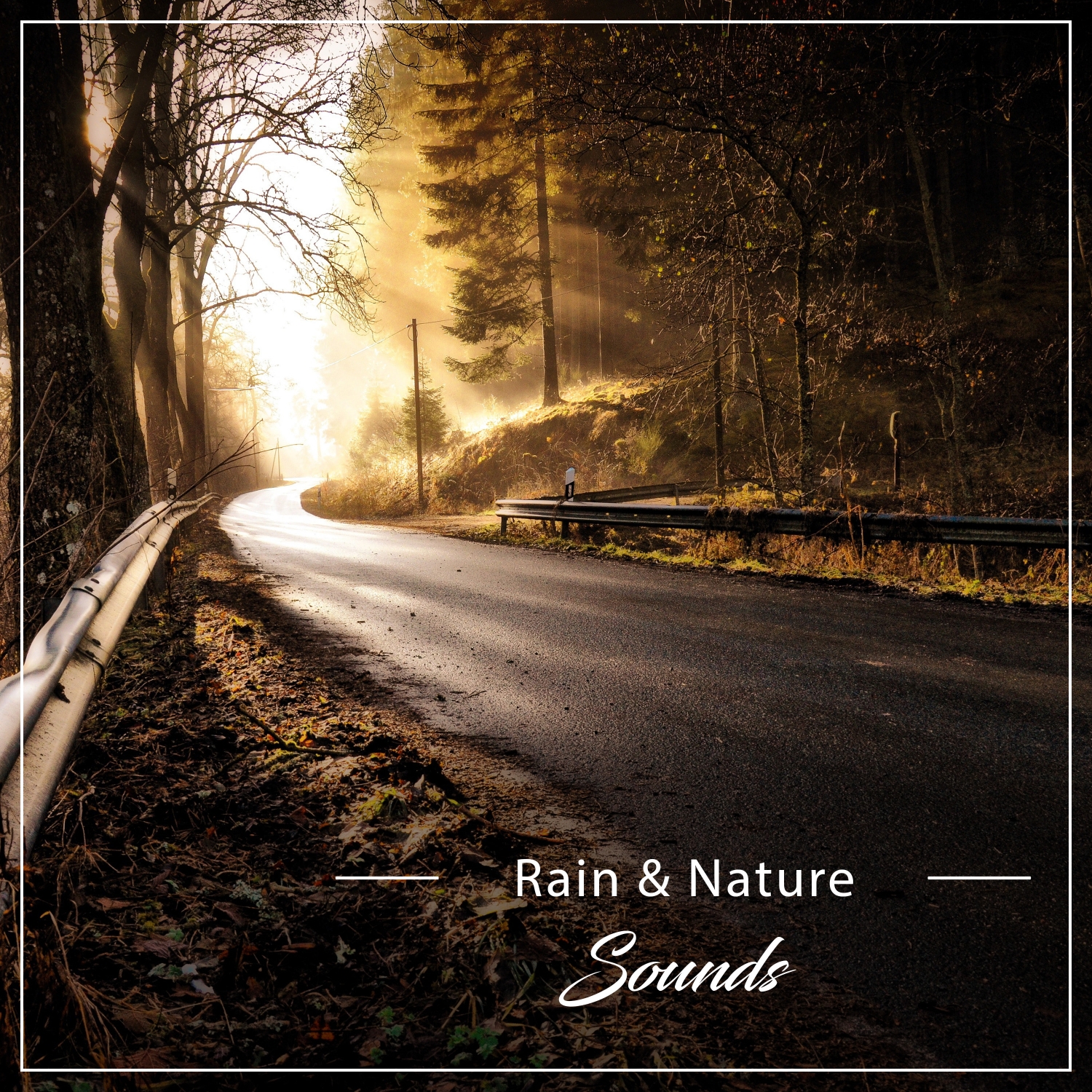 13 Rain and Nature Sounds for Baby Sleep Aid