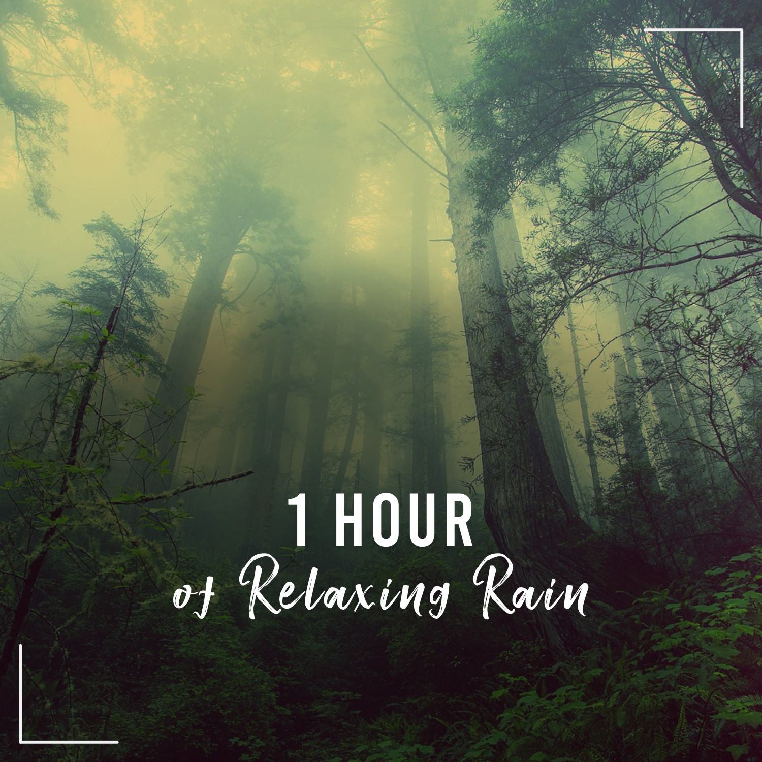 1 Hour Relaxing Rain Tracks to Calm the Mind & Relax