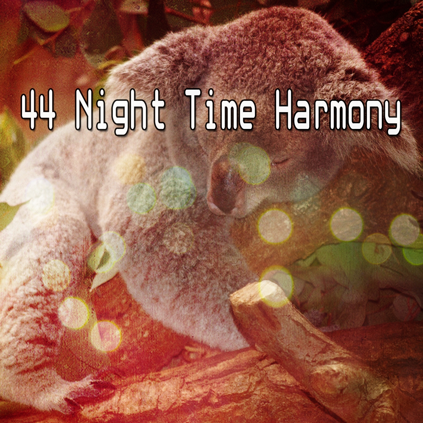 44 Night Time Harmony