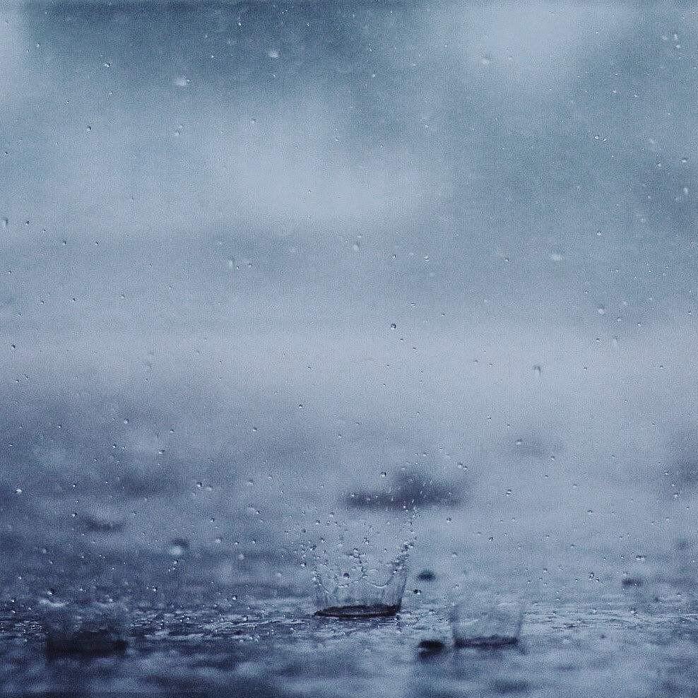 禅院雨足