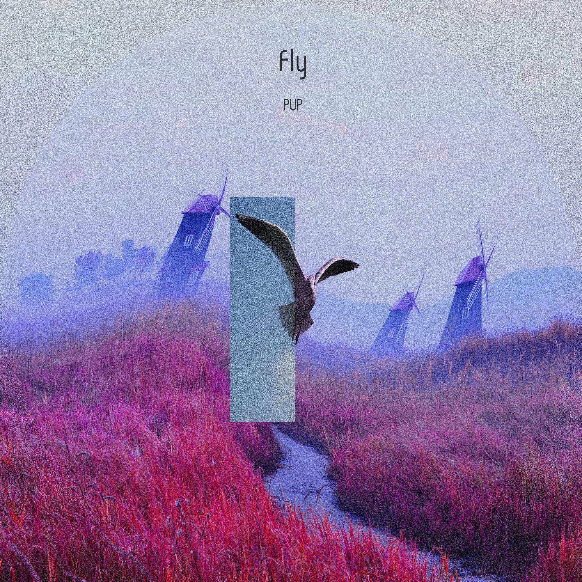 Fly