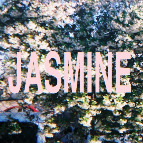 jasmine