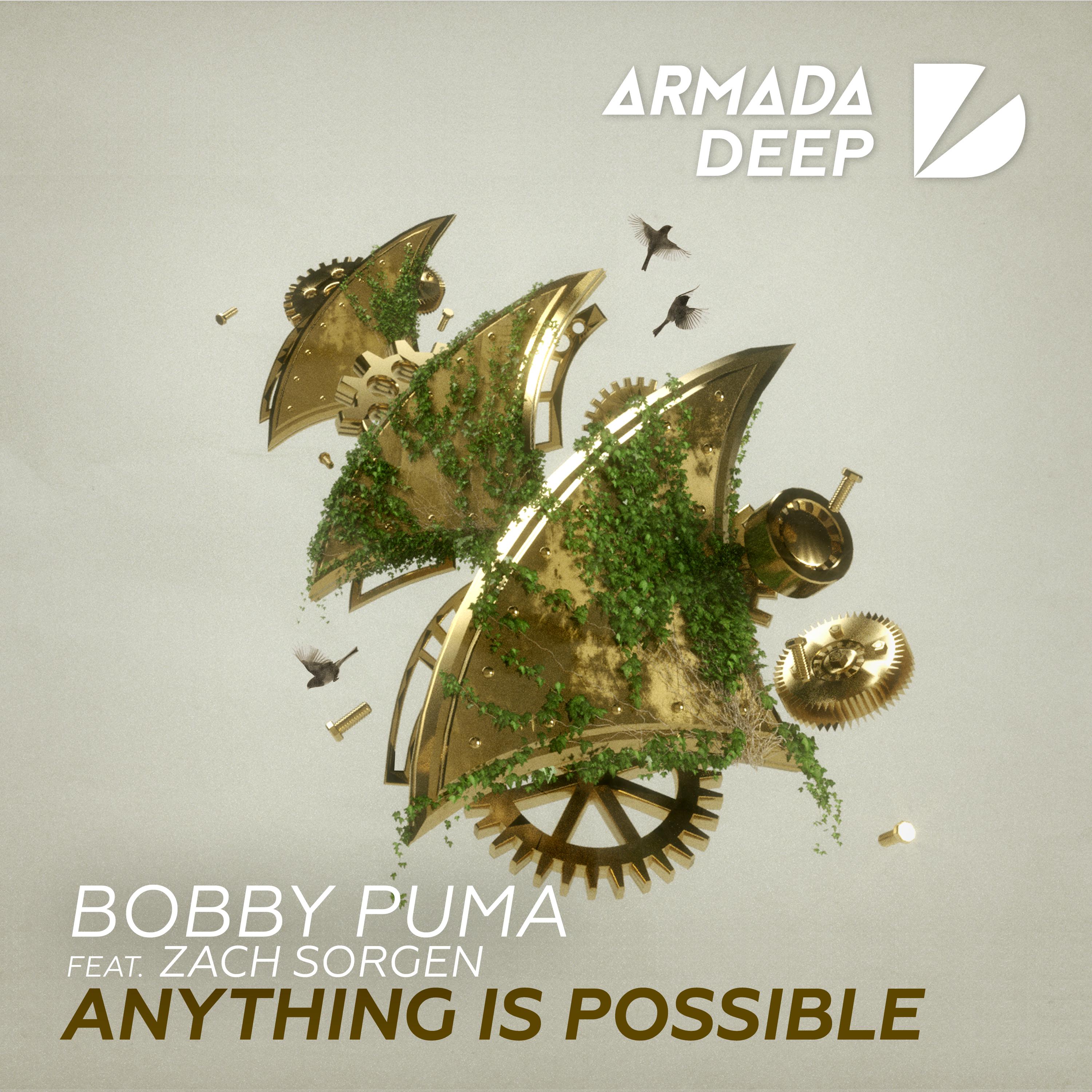 Anything Is Possible (Extended Mix)