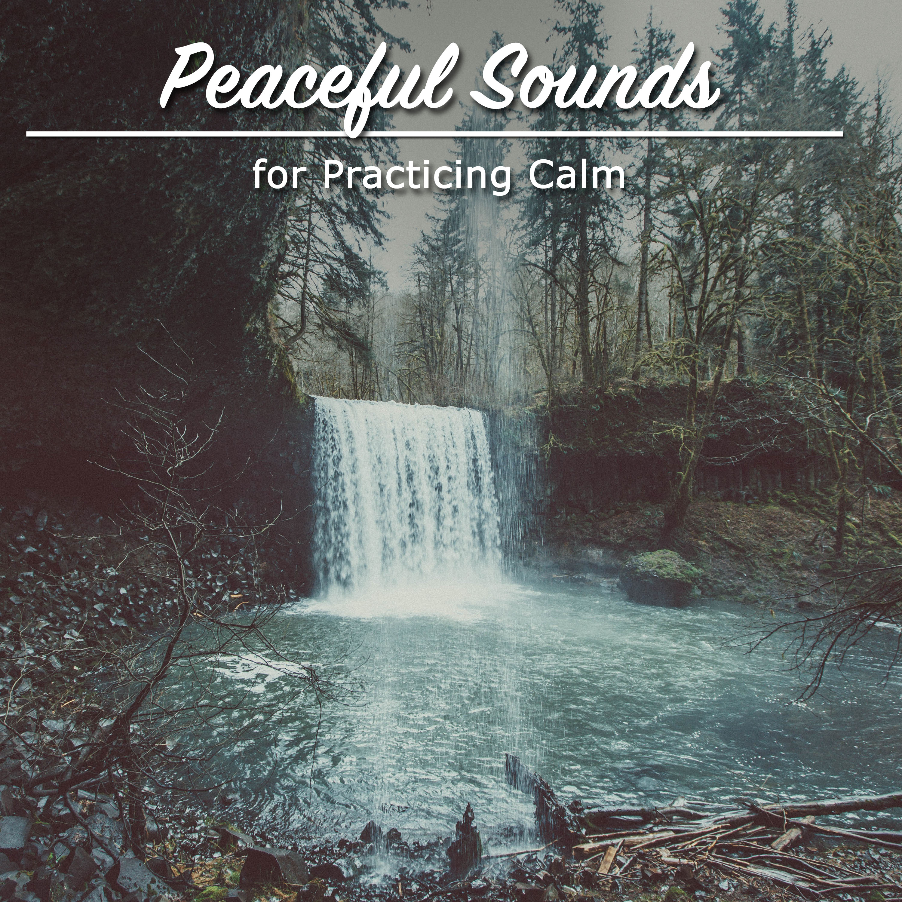 11 Naturally Calming Tracks to Relax
