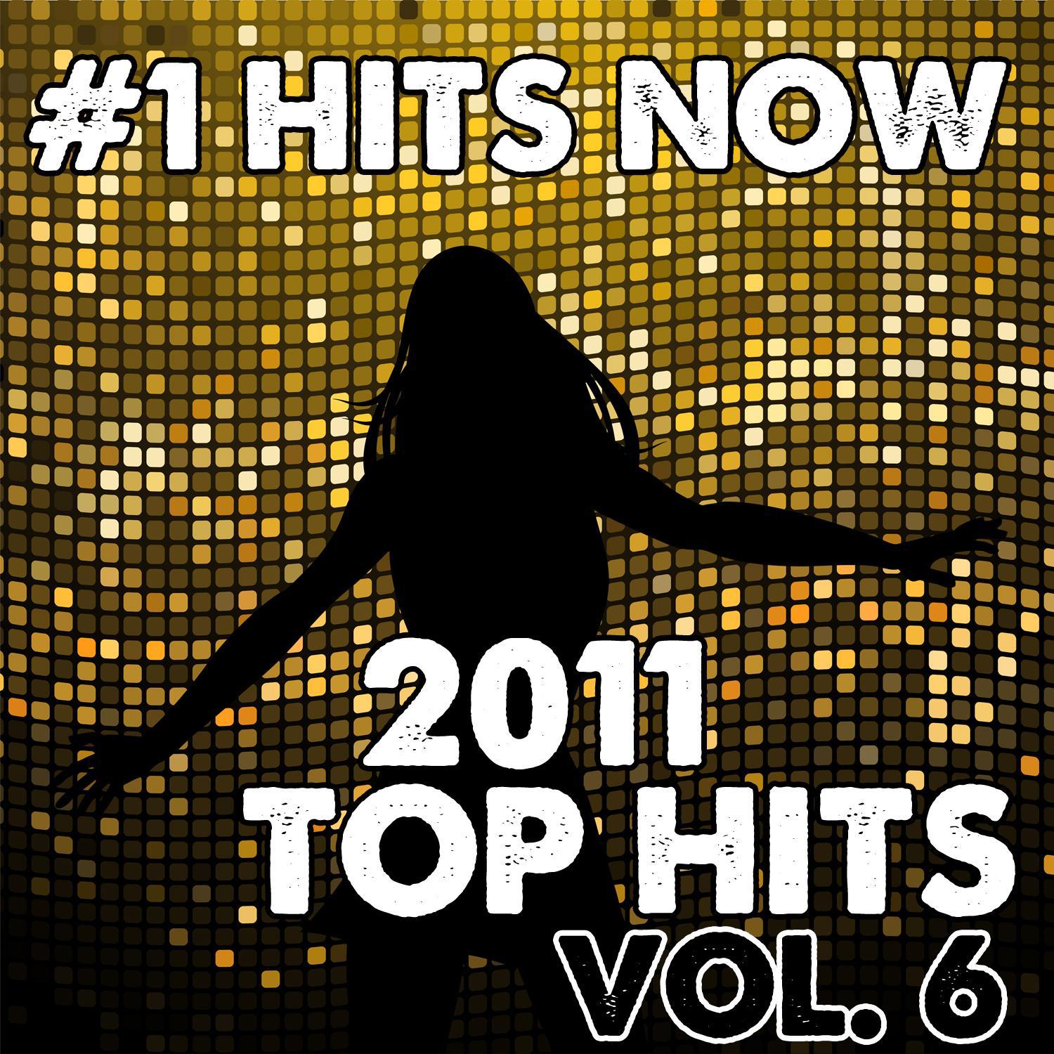 2011 Top Hits Vol. 6