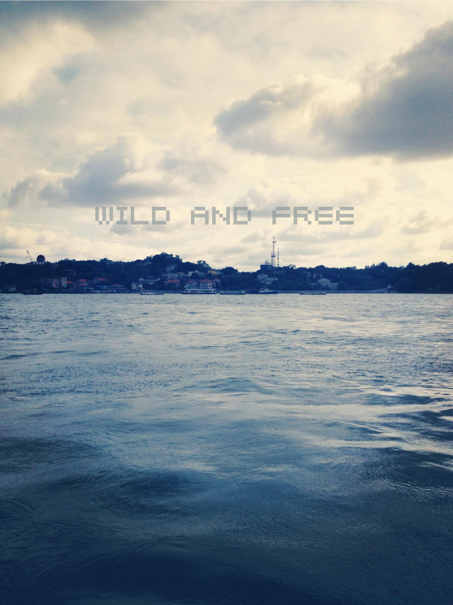 Wild and Free