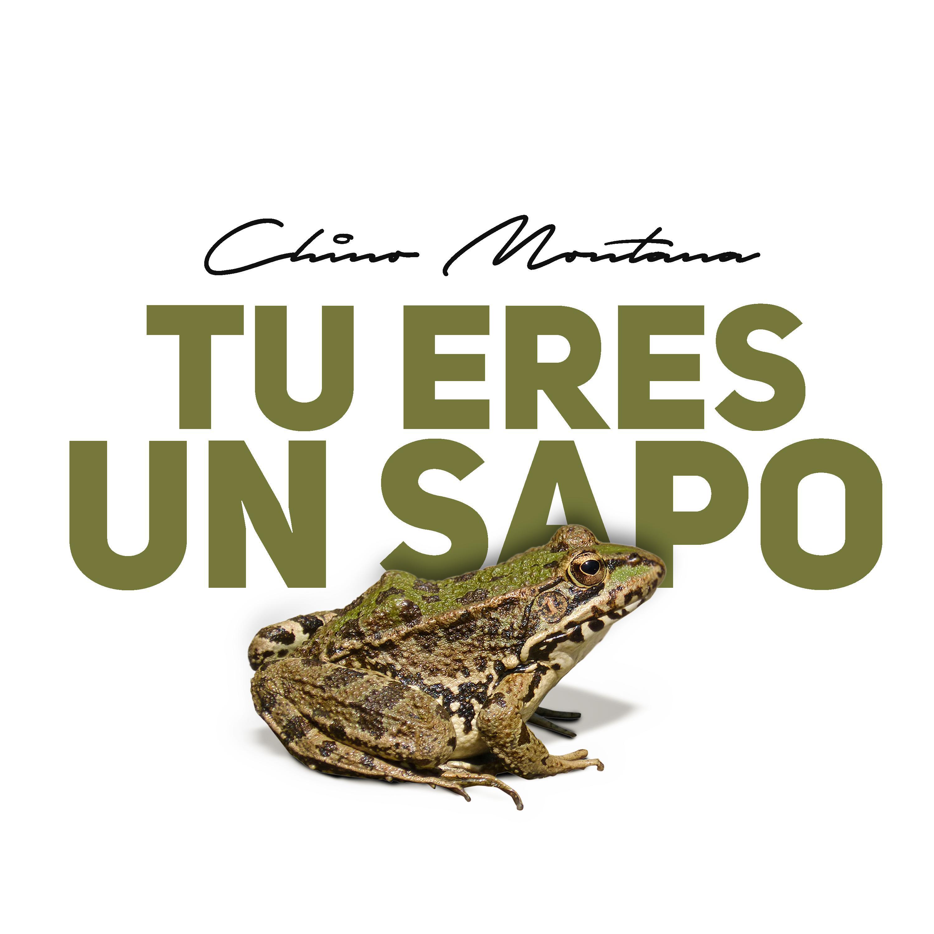 Tu Eres un Sapo