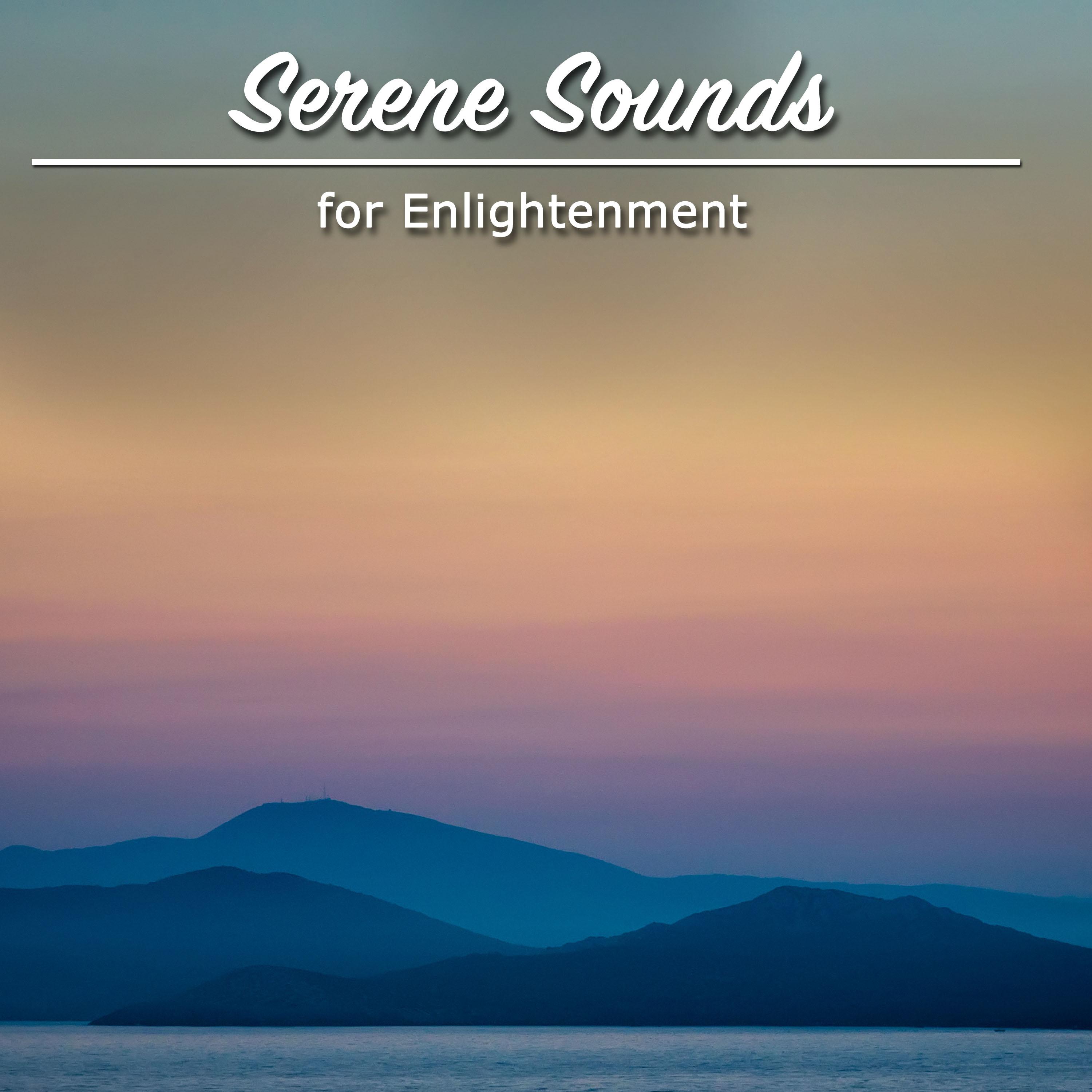 19 Calm Oasis Sounds for Guided Meditation