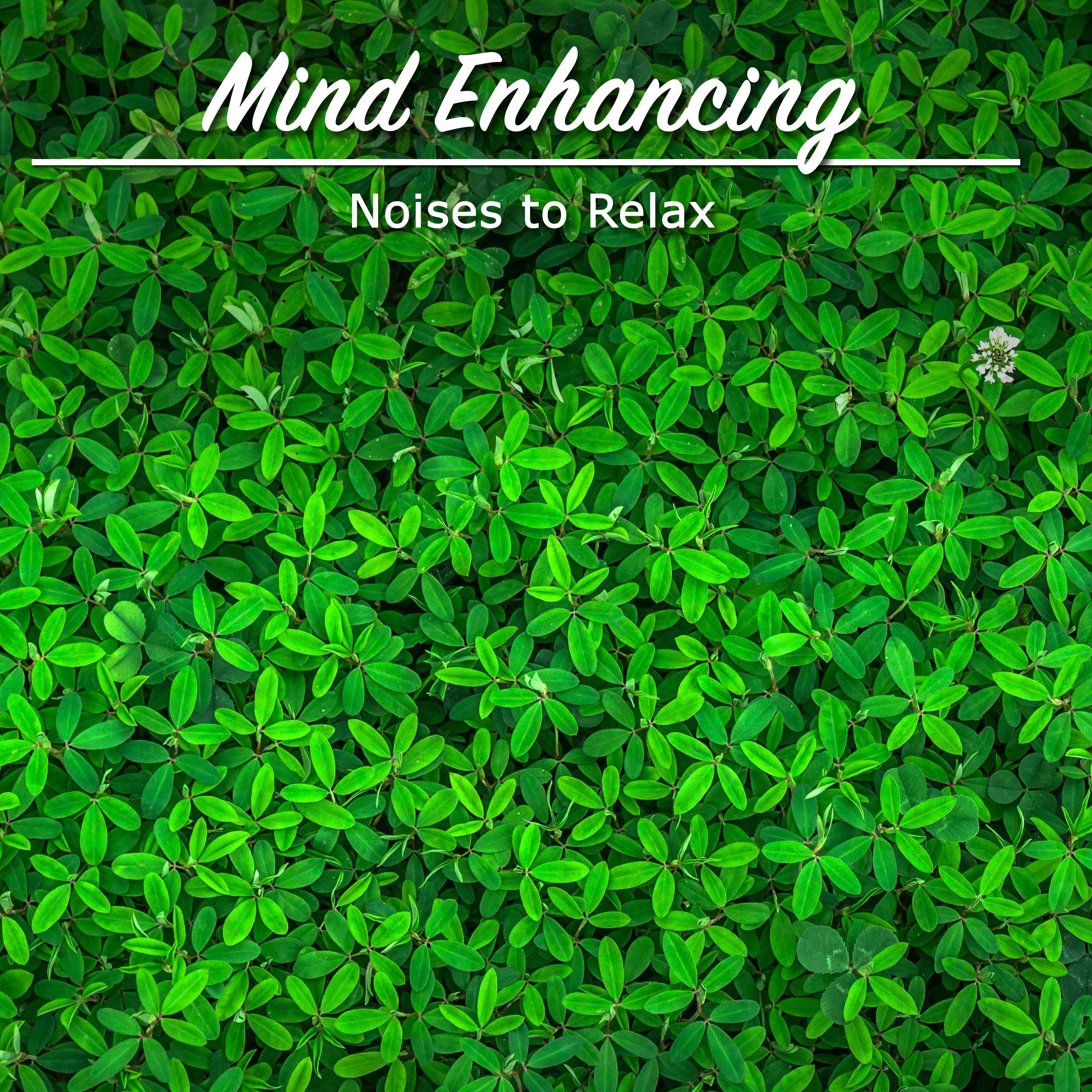 21 Harmonic Songs for Ultimate Relaxation