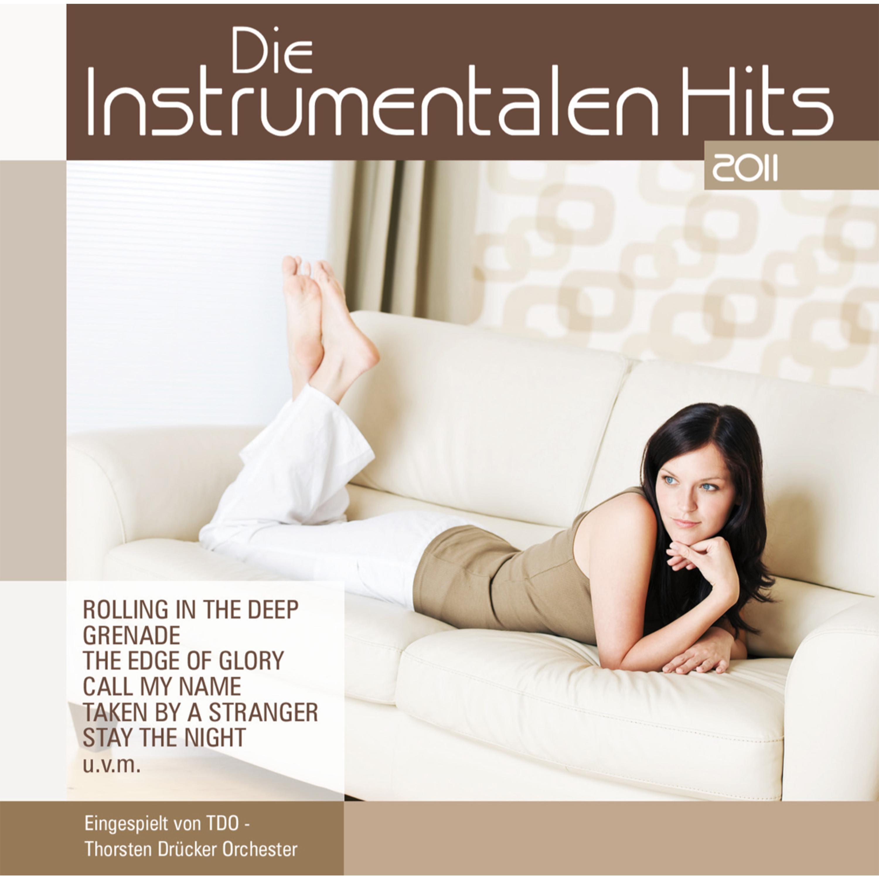 Die Instrumentalen Hits 2011