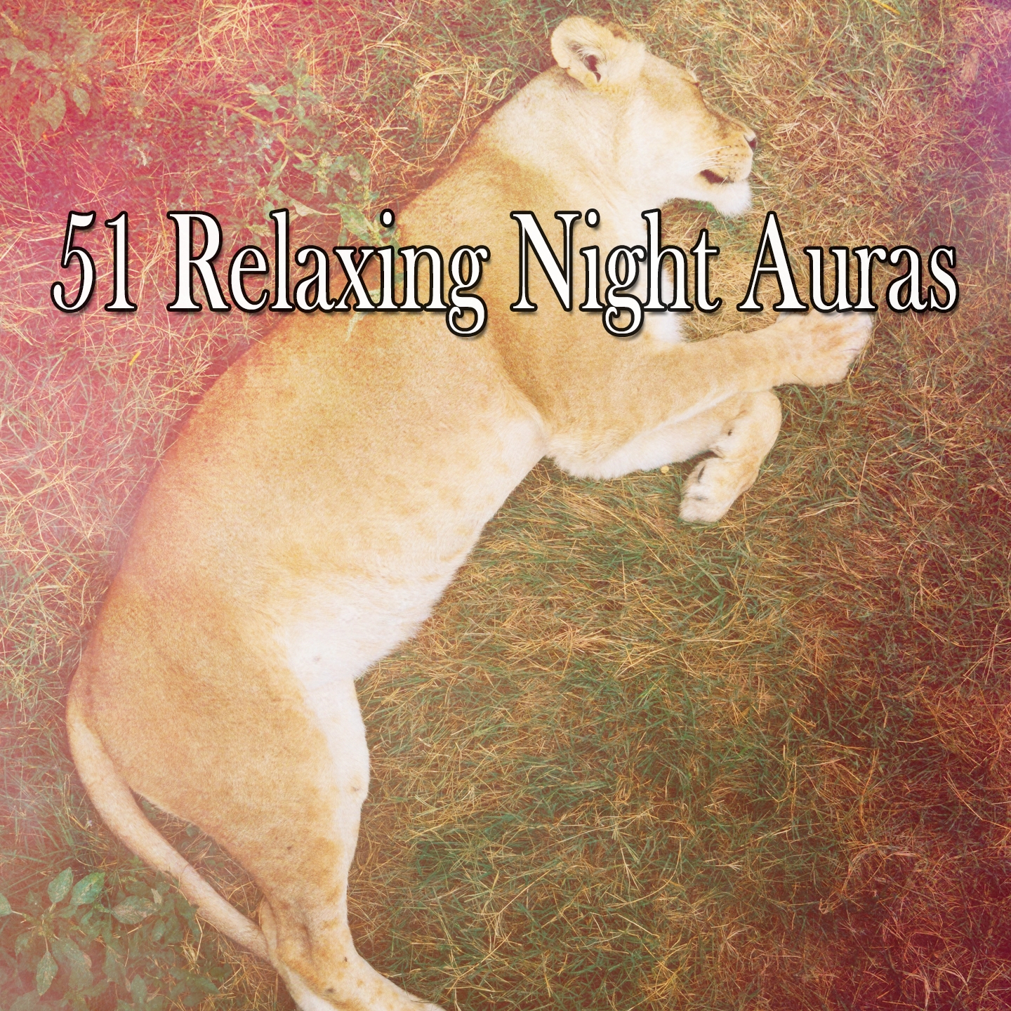 51 Relaxing Night Auras