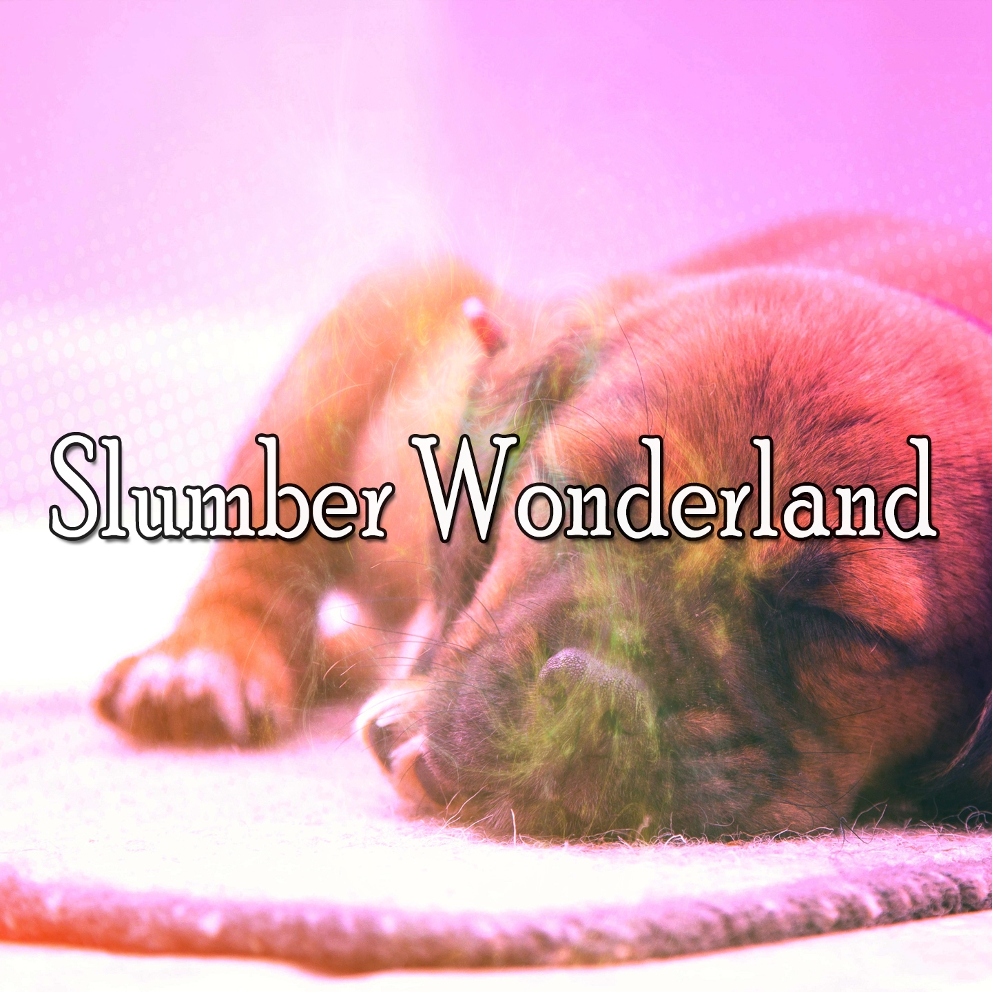 Slumber Wonderland