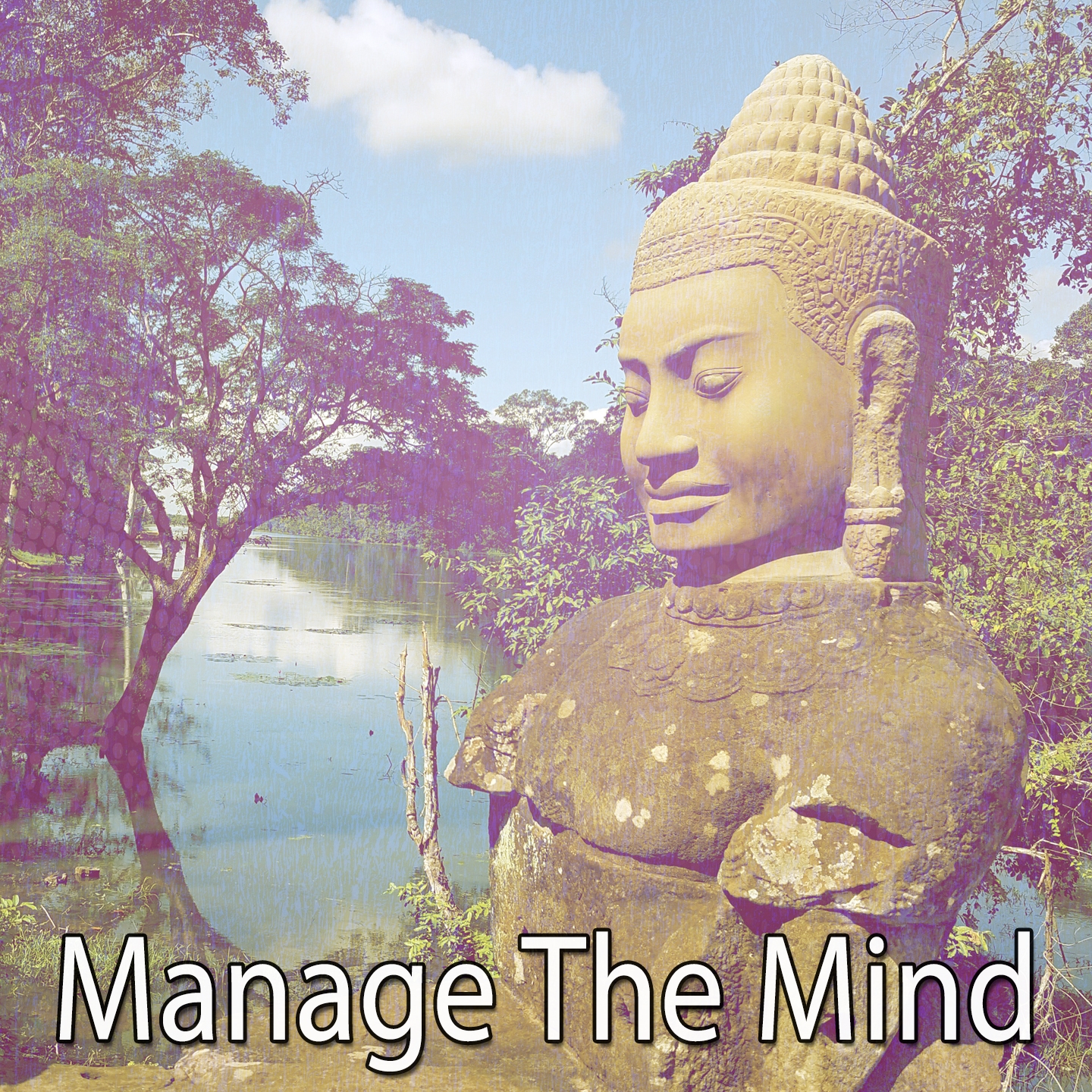 Manage The Mind