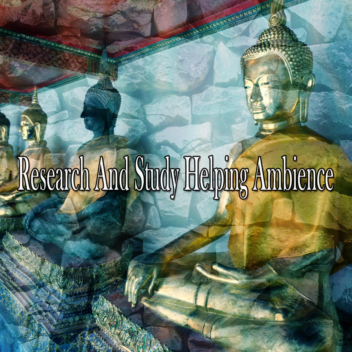 Research And Study Helping Ambience