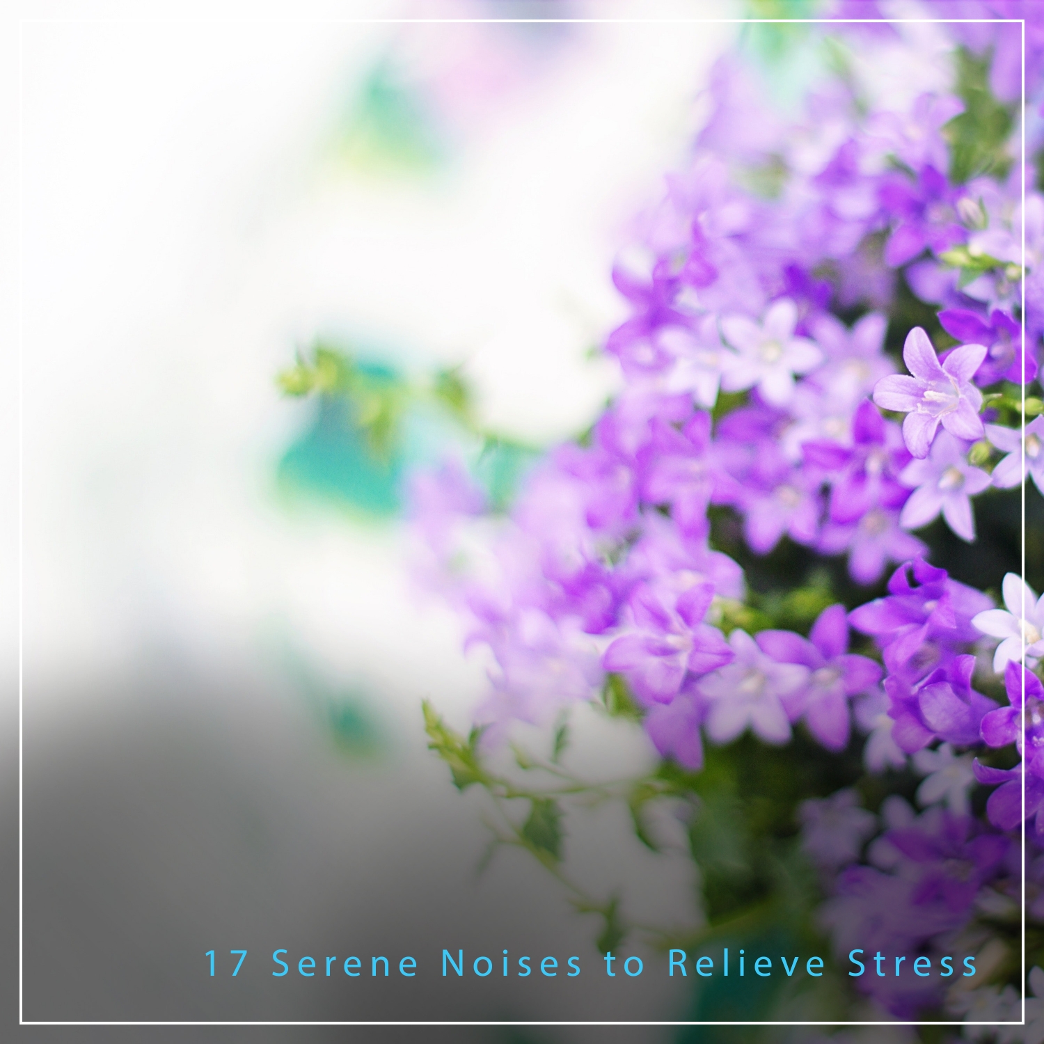 17 Serene Noises to Relieve Stress