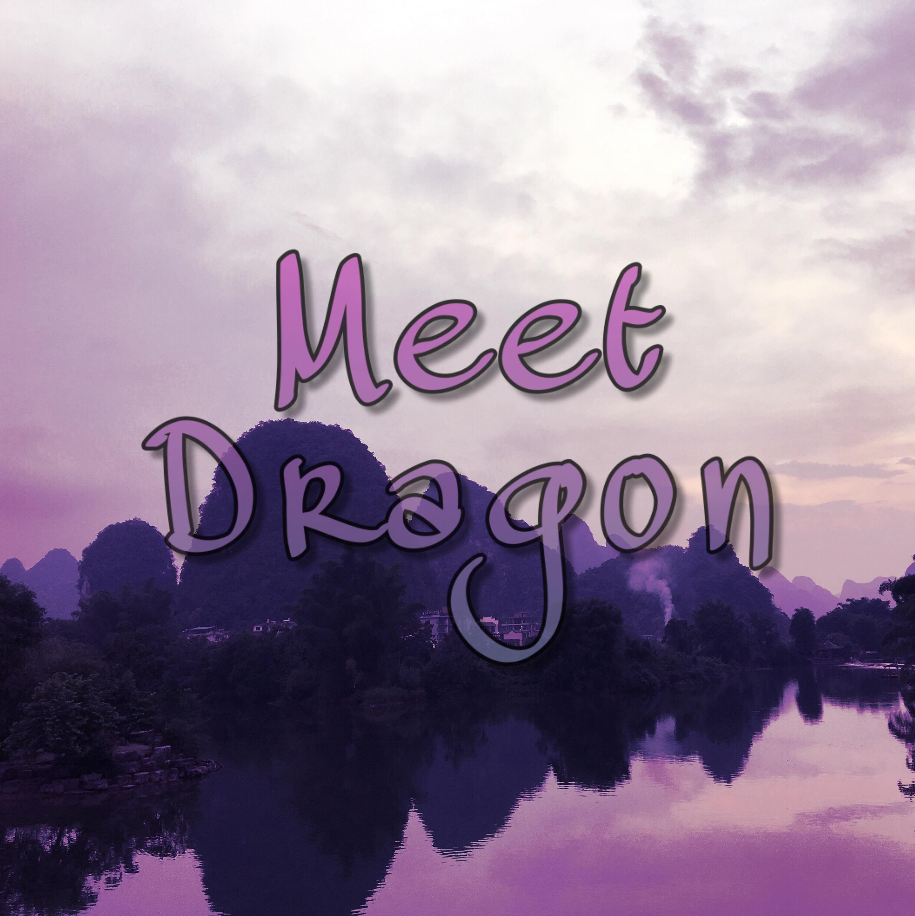 Meet Dragon