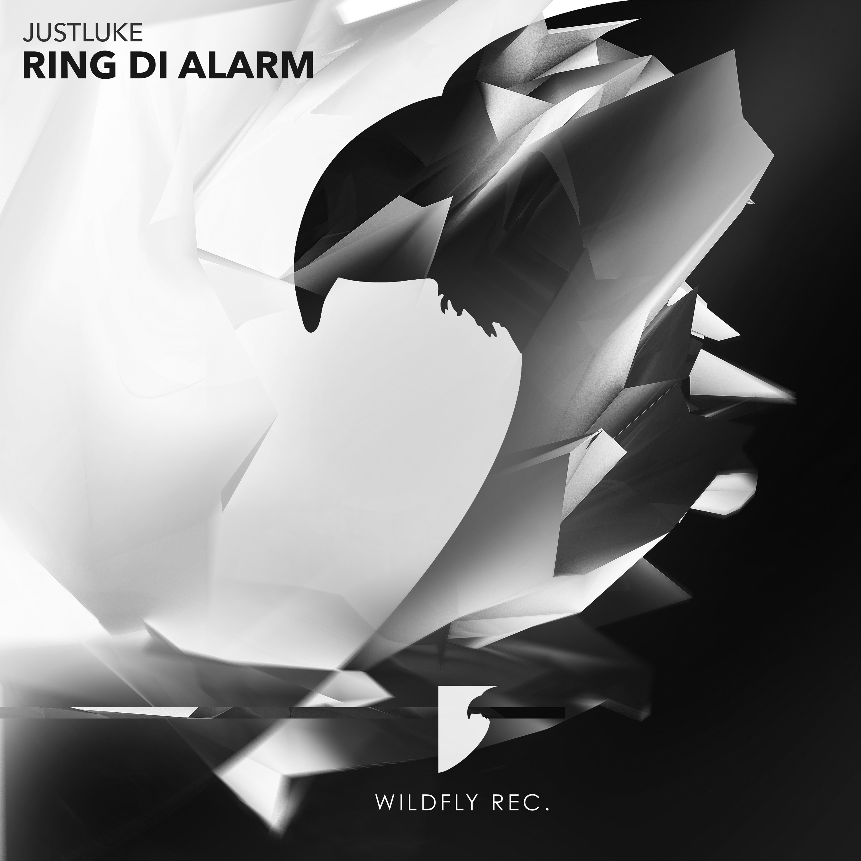 Ring Di Alarm