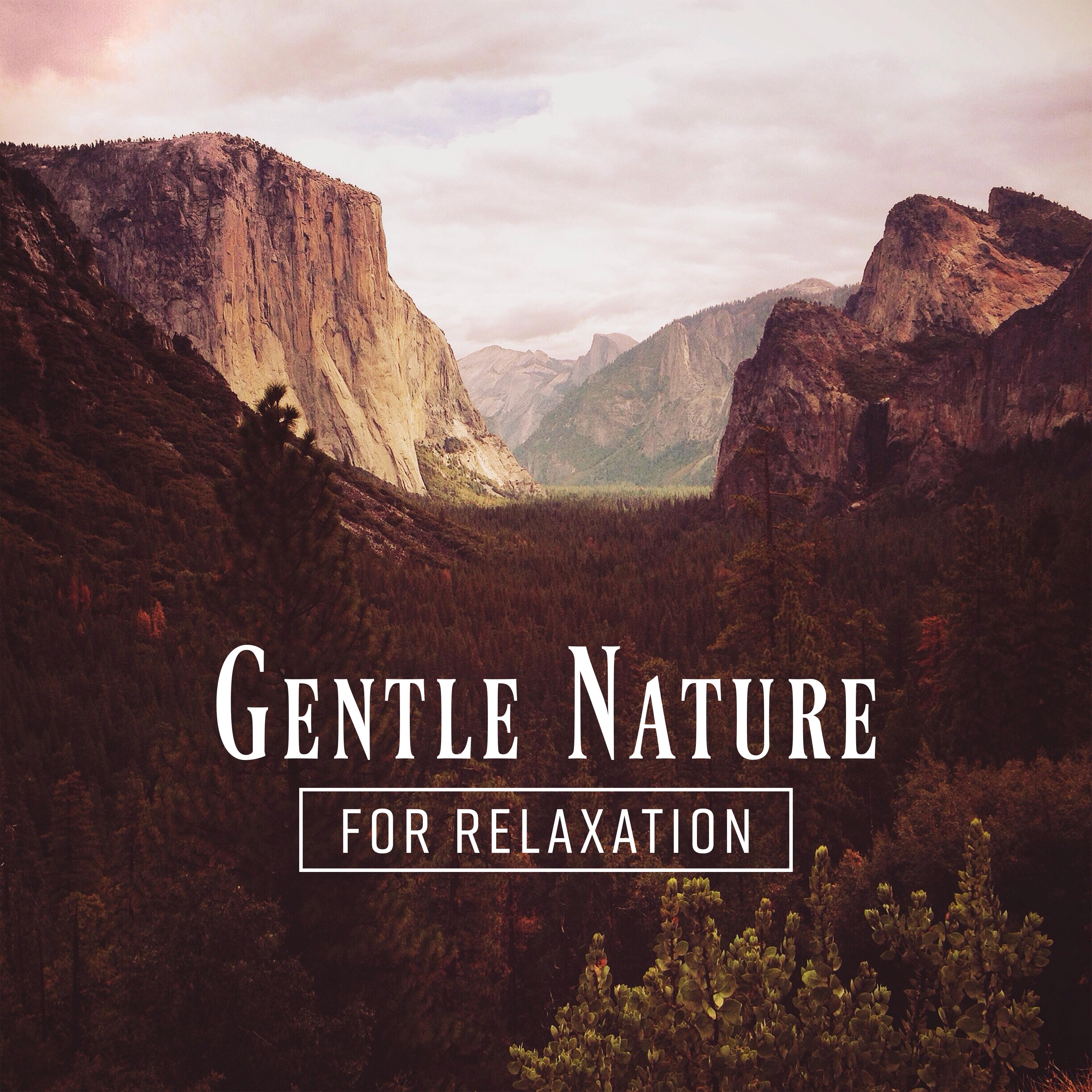 Gentle Nature for Relaxation