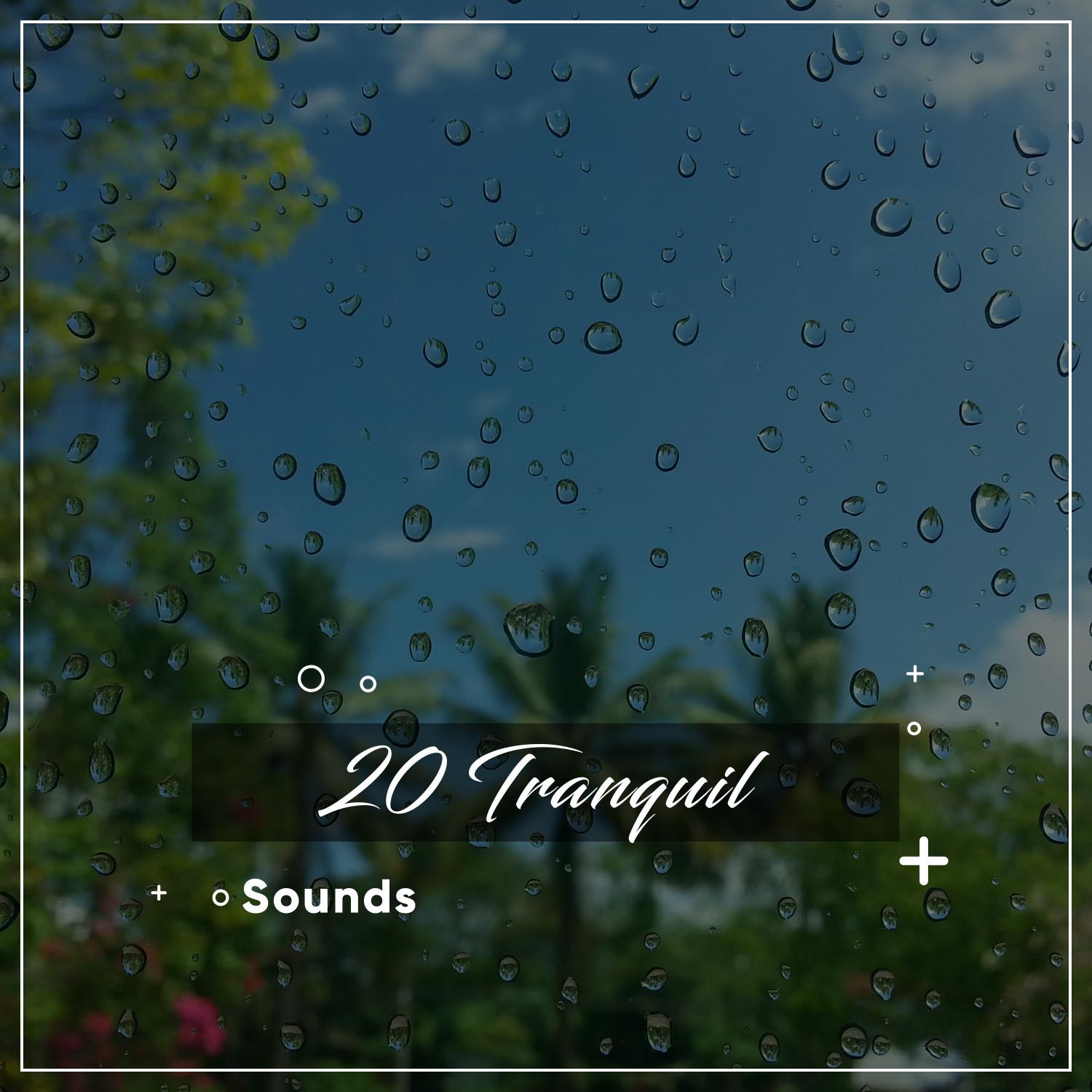 20 Tranquil Noises for Relaxation Therapy