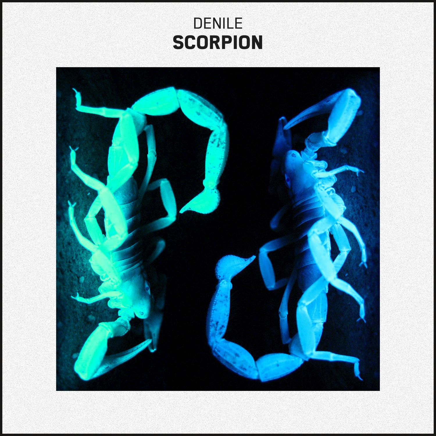 Scorpion