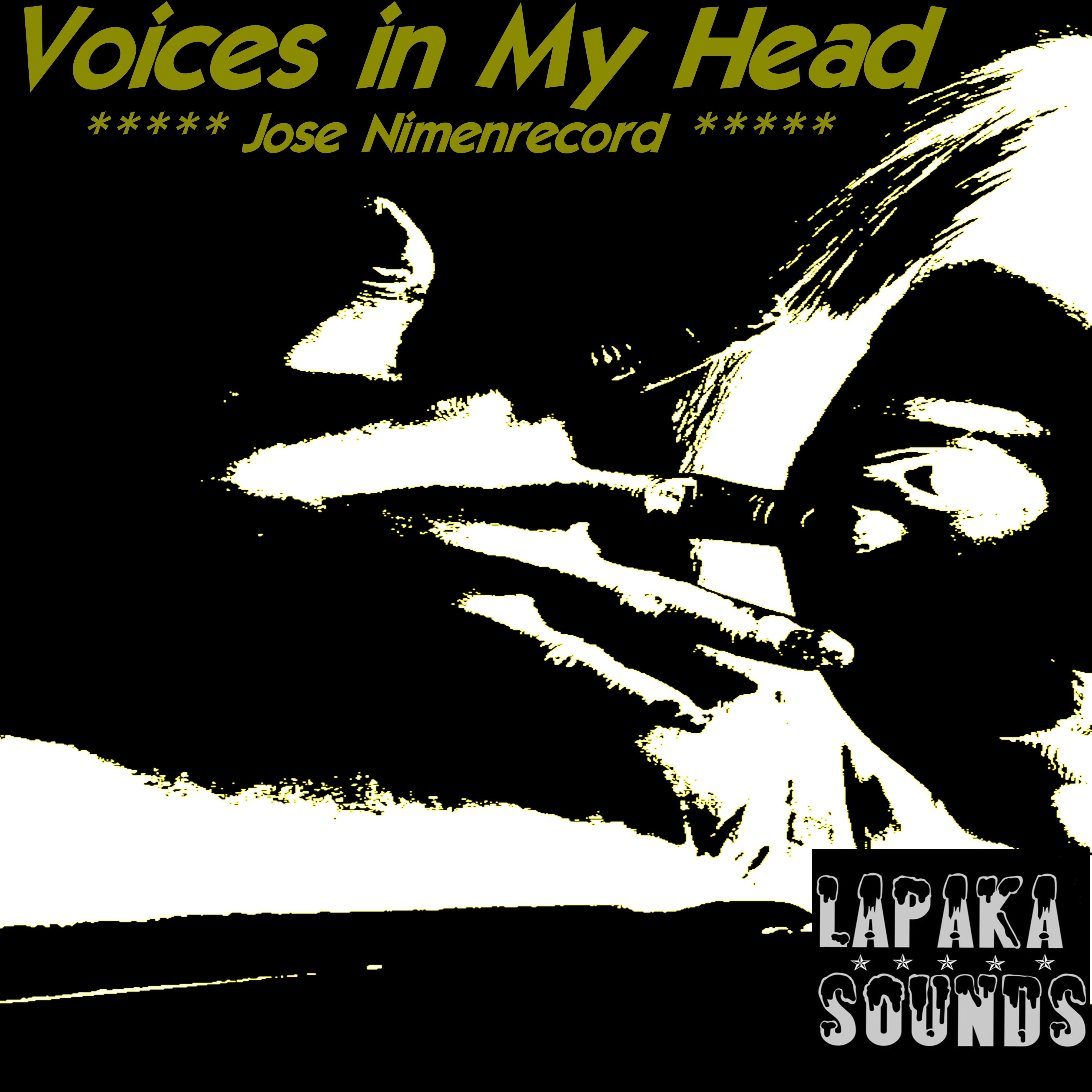 Voices In My Head