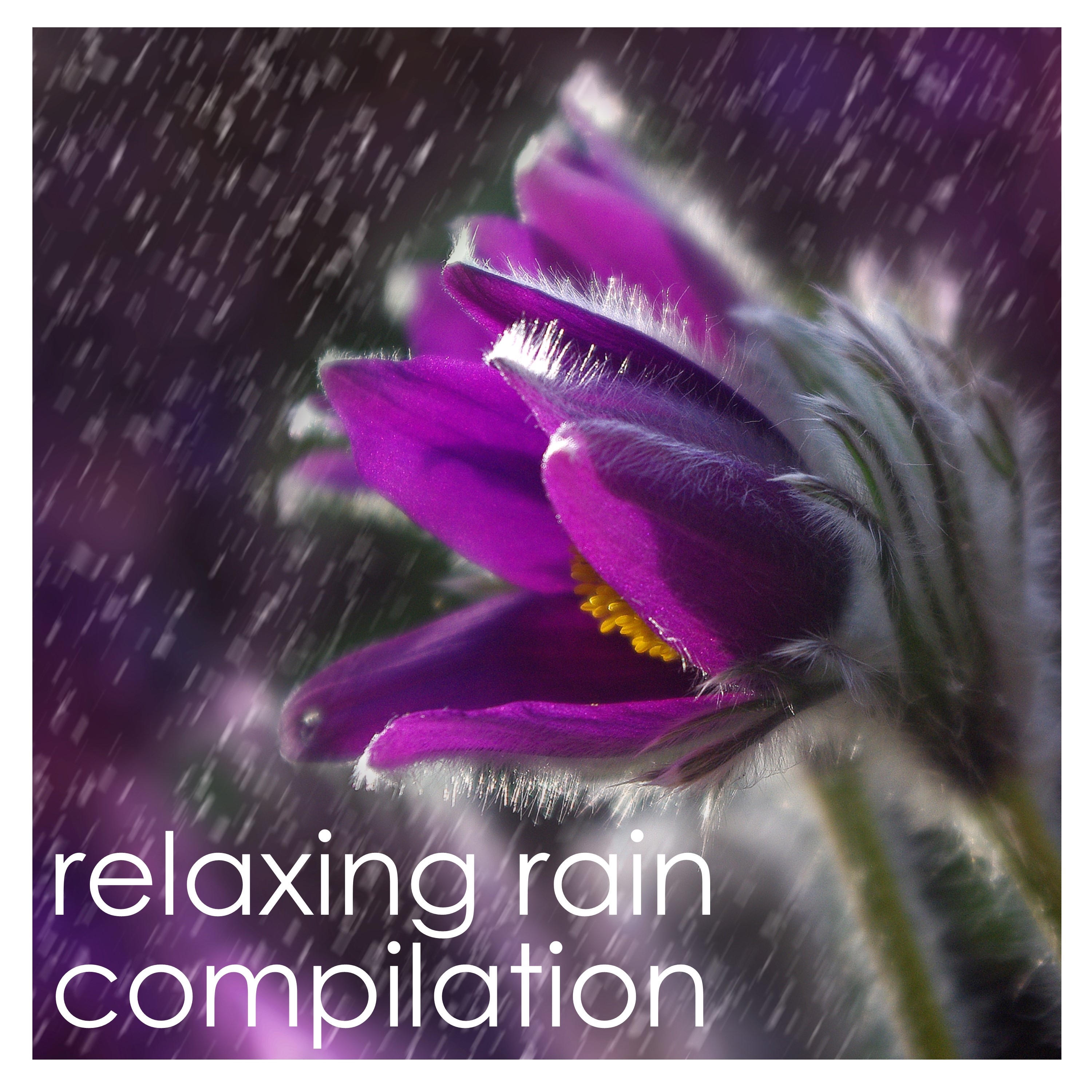 #19 Rain Sounds for Relaxing, Sleeping and Studying