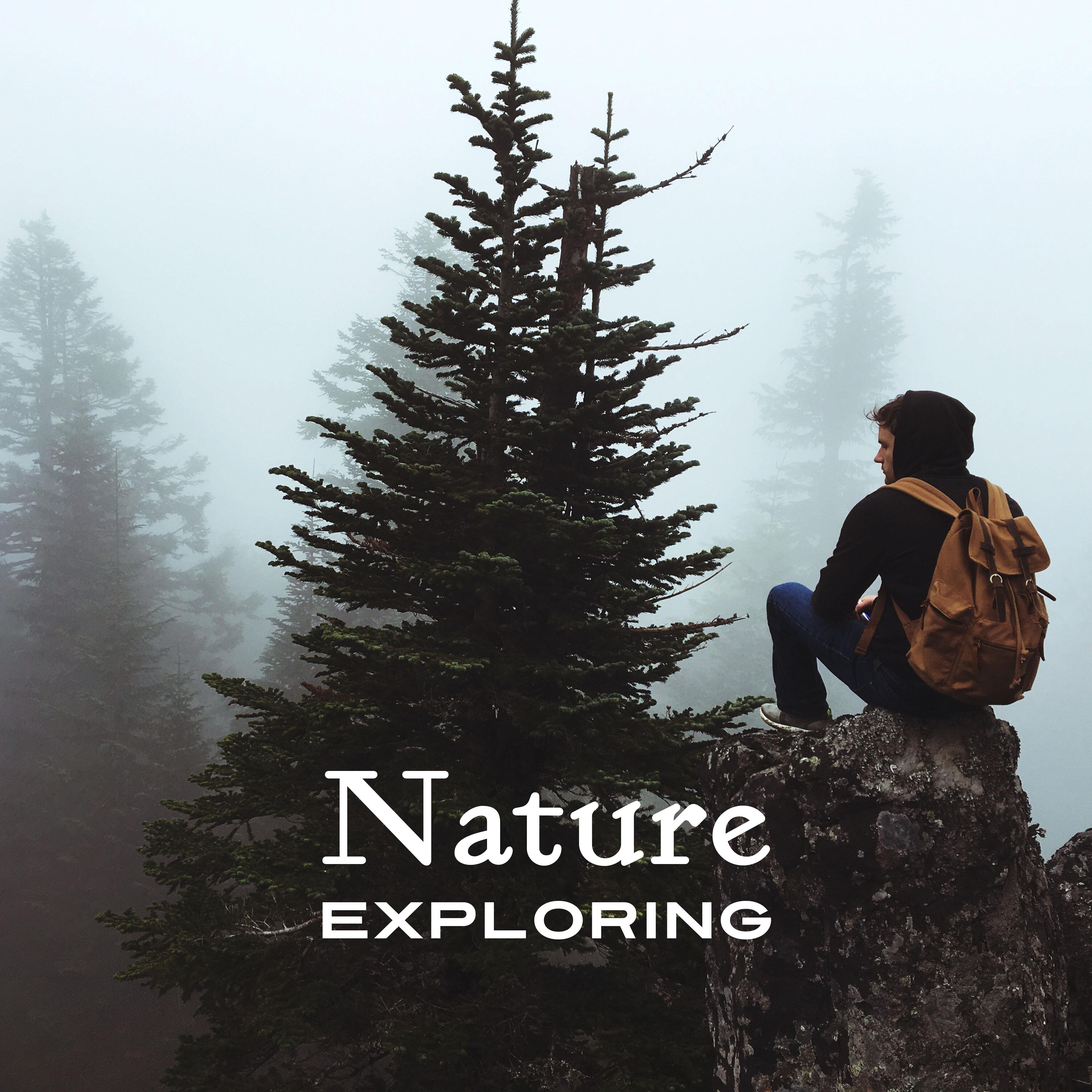 Nature Exploring – Nature Relaxation, Sounds to Calm Down, New Age Music, Stress Relief