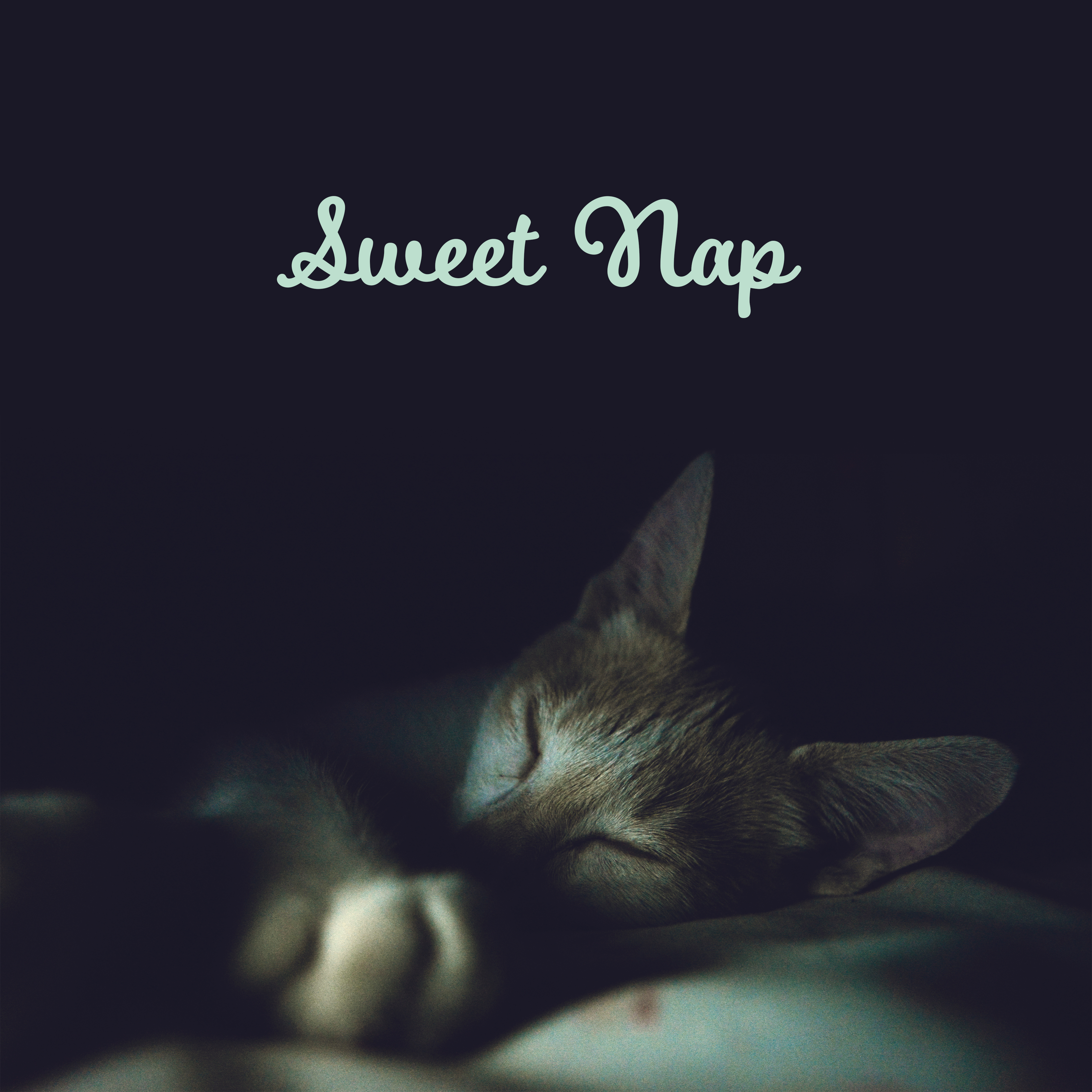 Sweet Nap – Peaceful Sounds for Sleep, Relaxation, Healing, Zen, Relief, Tranquil Sleep, Music to Pillow, Deep Dreams, Relaxing Bedtime