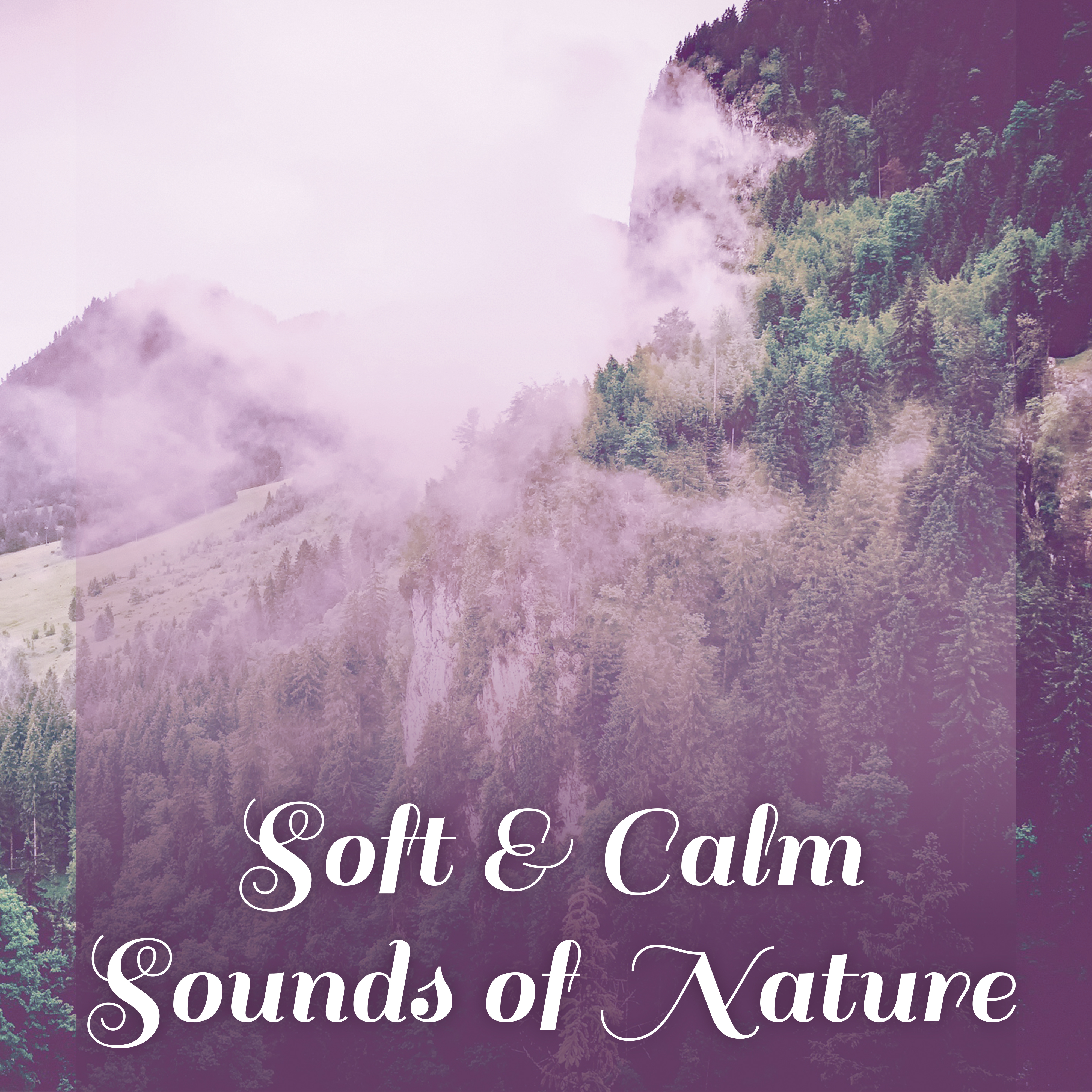 Soft & Calm Sounds of Nature – Rest & Relax, Easy Listening, New Age Relaxation, Soothing Sounds
