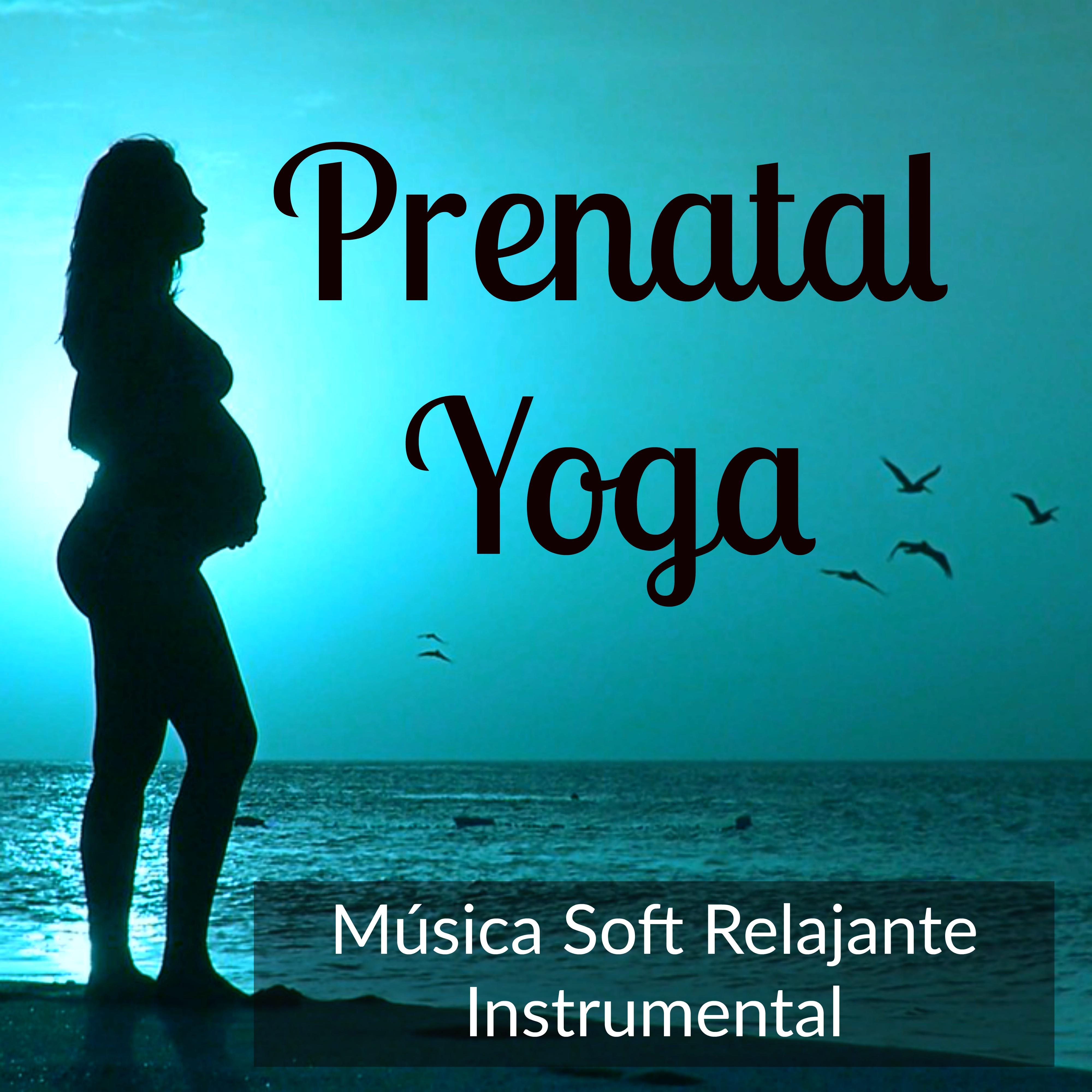 Prenatal Yoga - Música Soft Relajante Instrumental para Dulce Canción de Cuna Bienestar Clases de Meditación con Sonidos de la Naturaleza Binaurales New Age