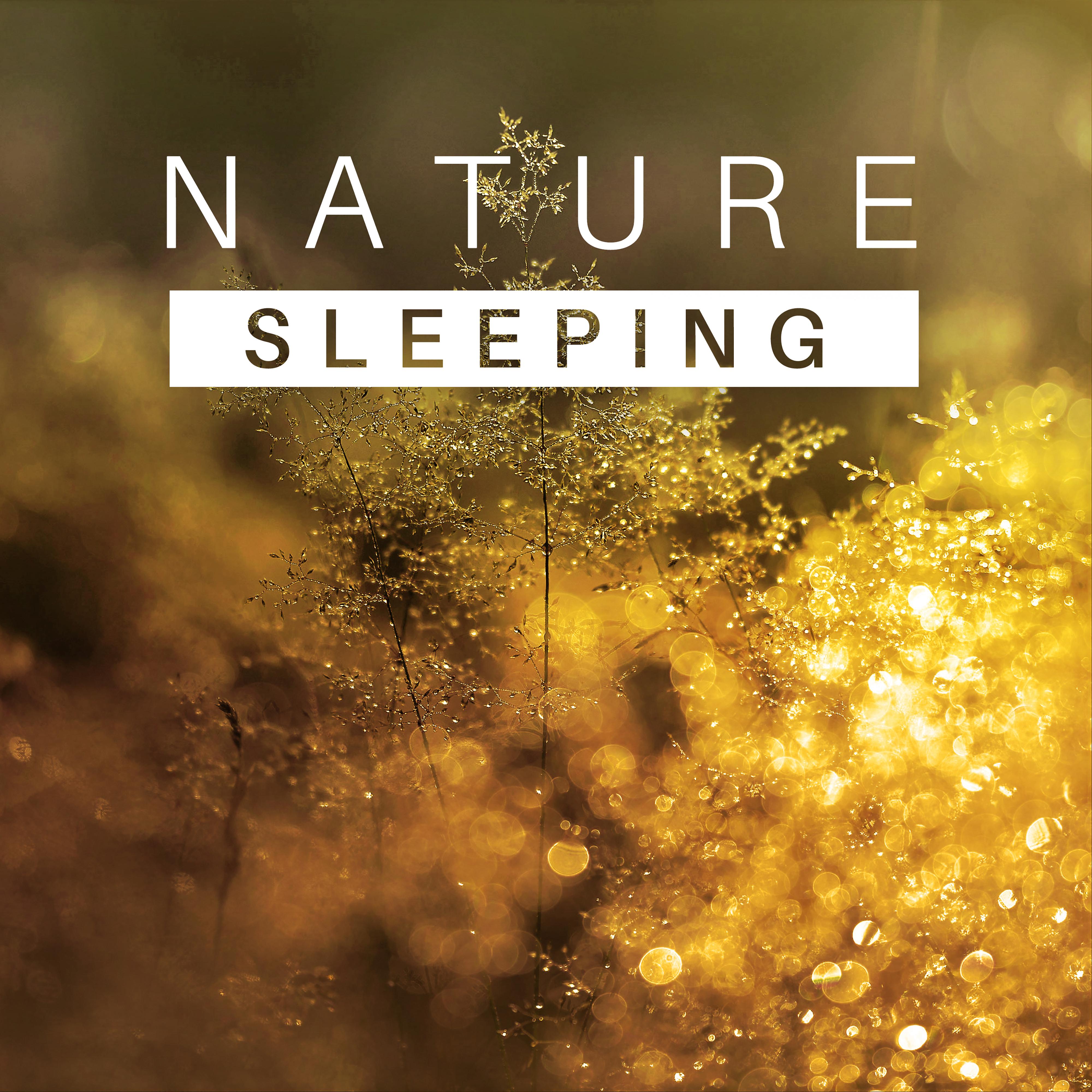 Sleeping Nature – Healing Music for Relaxation, Stress Relief, Sounds of Water, Singing Birds, Nature Sounds to Calm Down, Pure Mind