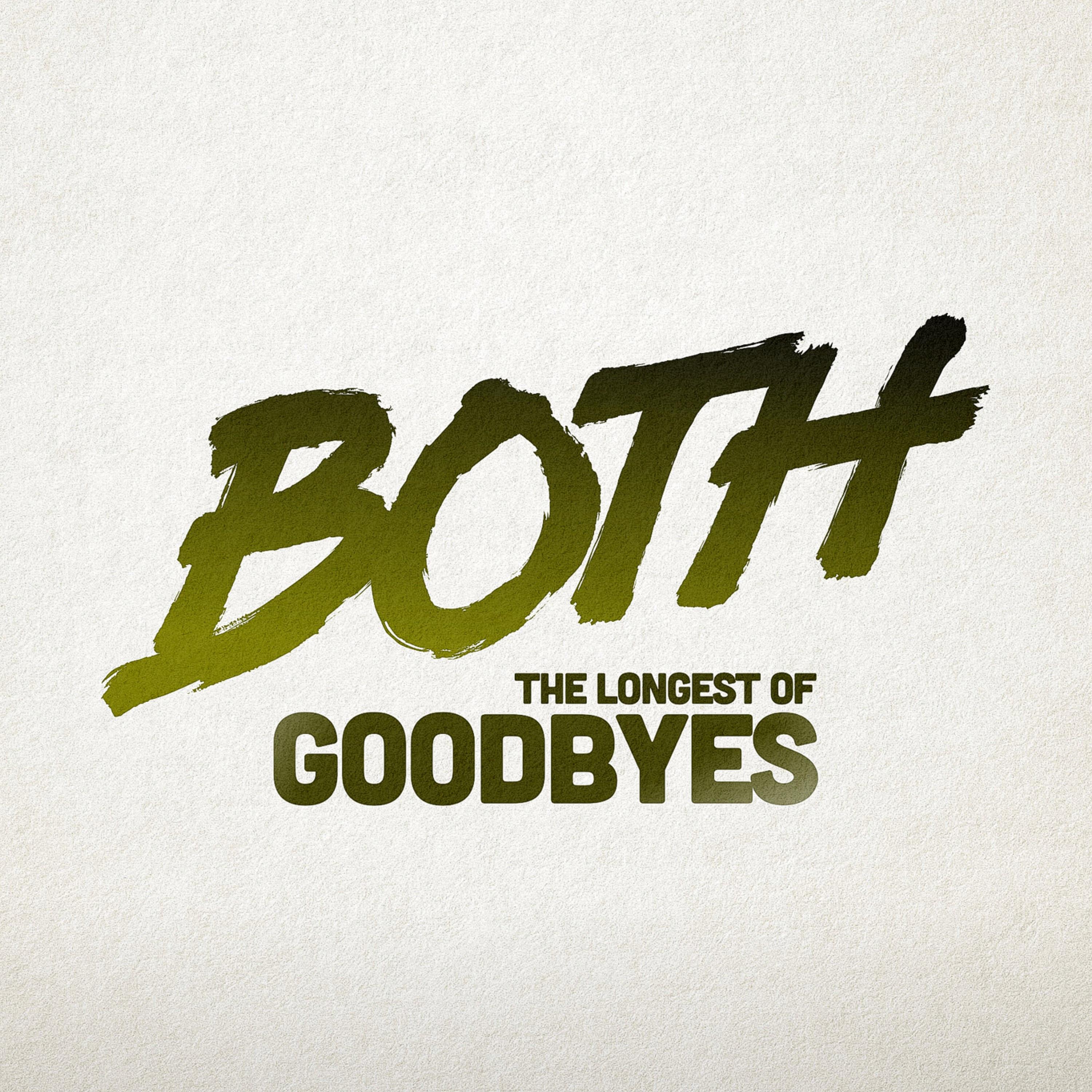 The Longest of Goodbyes (Zoo Station Remix)