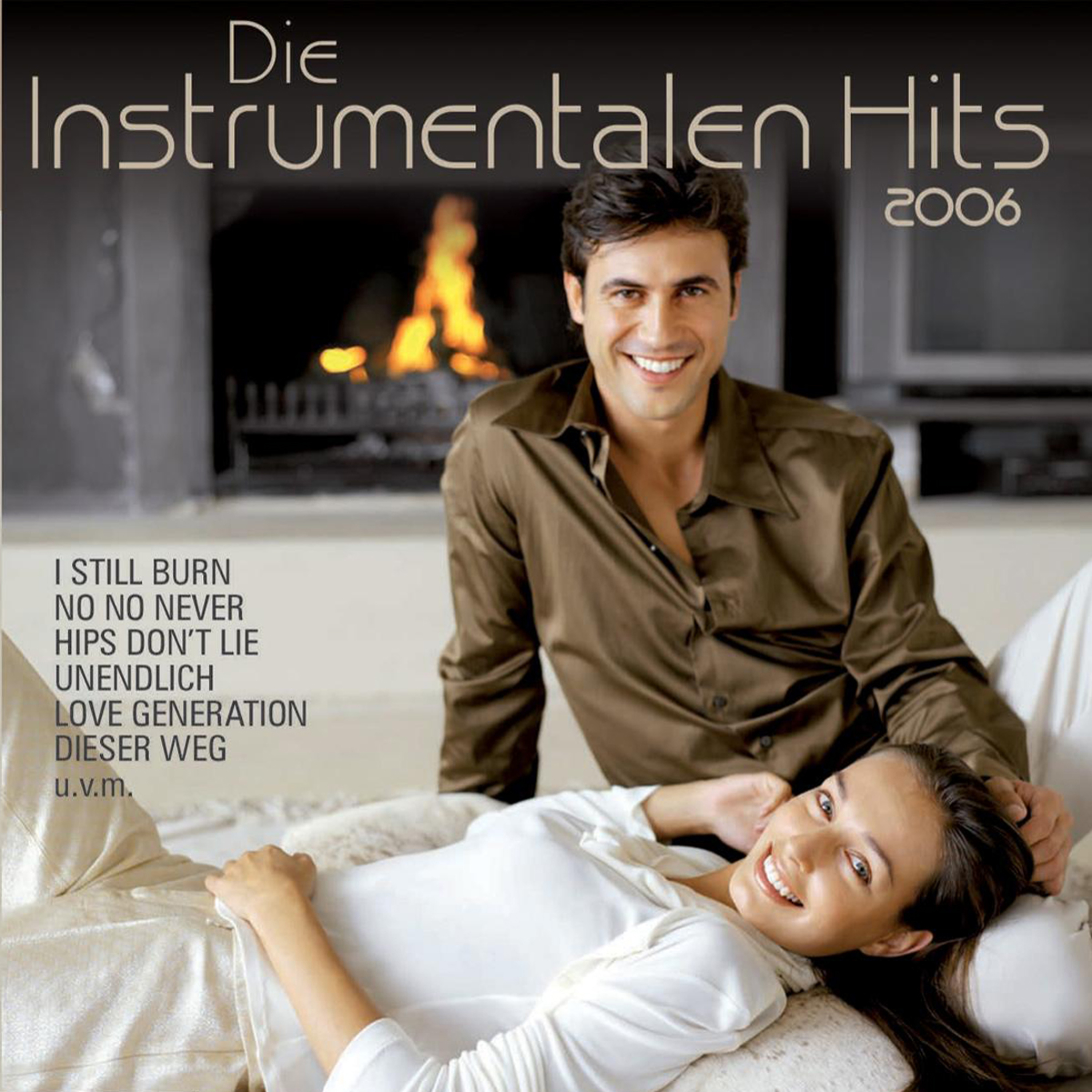 Die instrumentalen Hits 2006