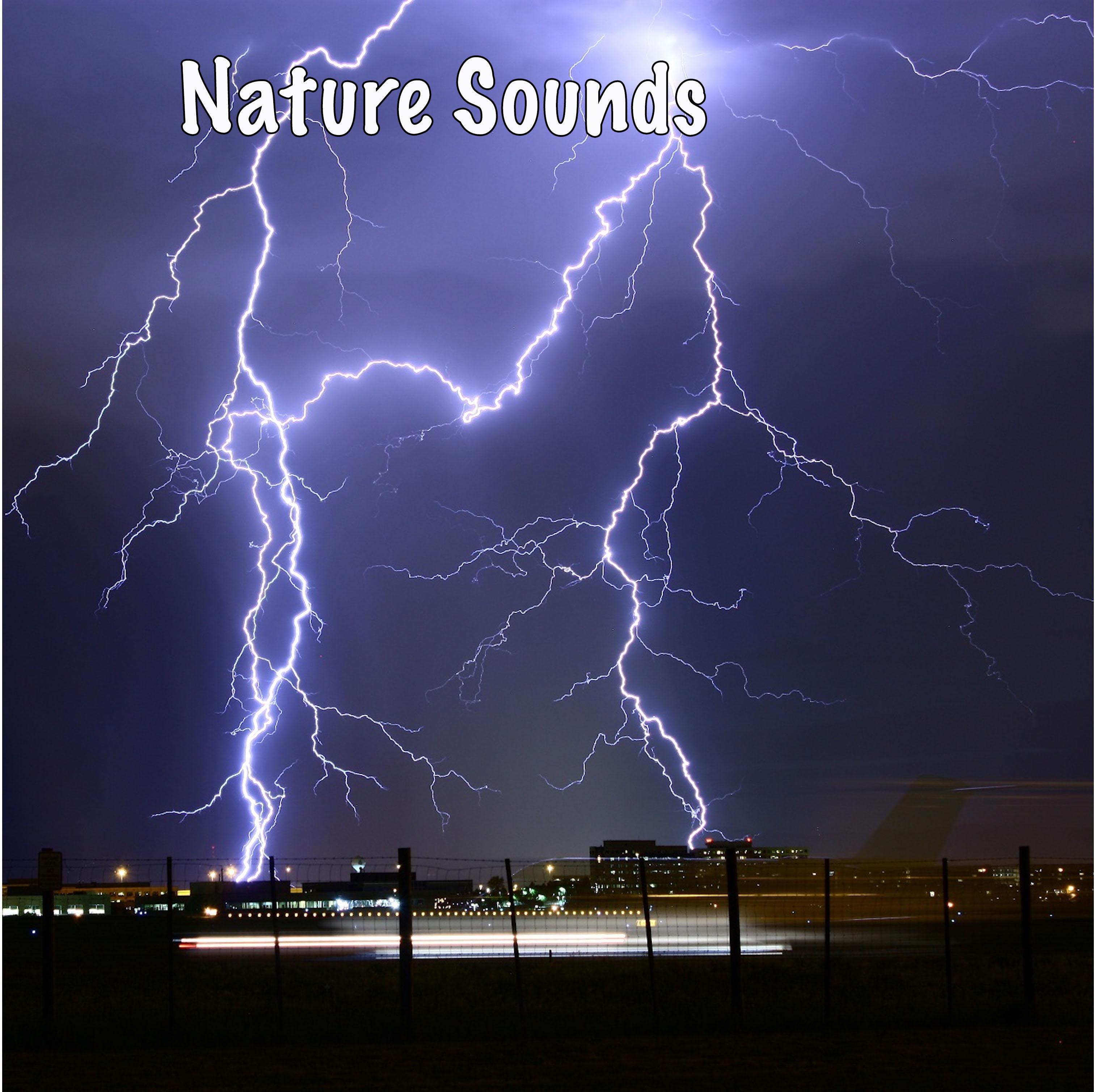 16 White Noise Sounds to Fall Asleep to. Rain Sound Effects