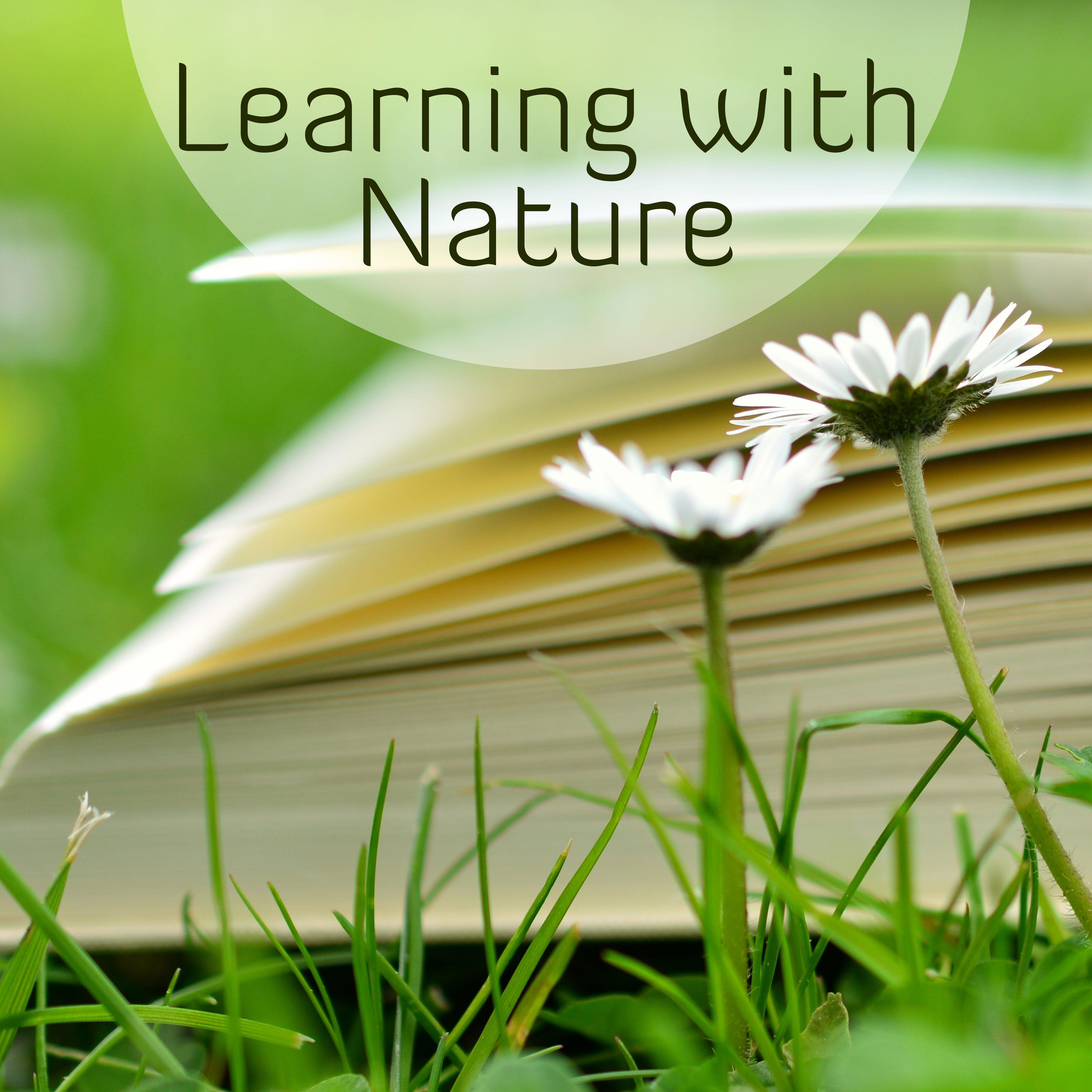 Learning with Nature – Better Memory, Deep Concentration, Study Music, Peaceful Music, Stress Relief, Brain Power, Soft Nature Sounds Help Pass Exam