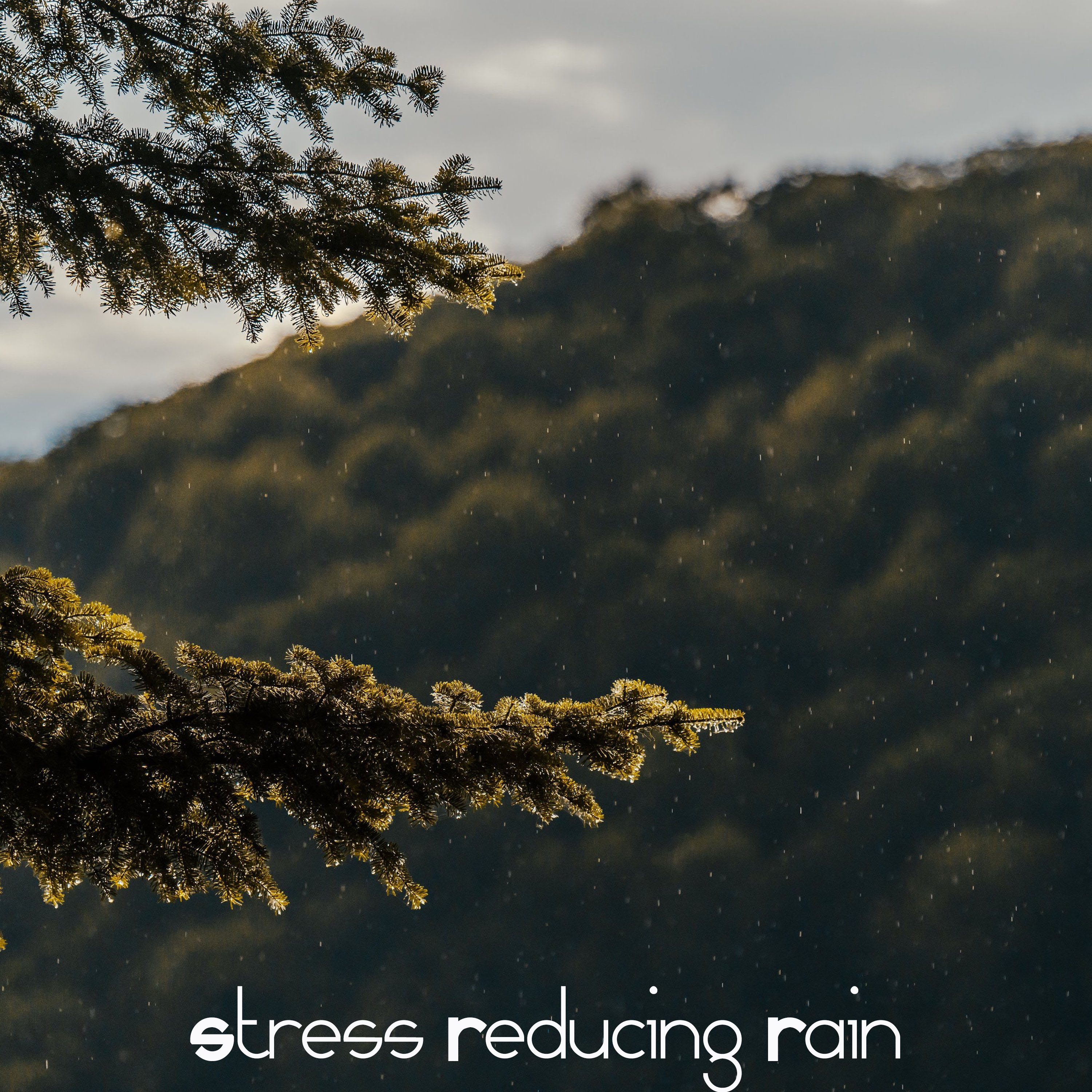 20 Rain Sounds to Relieve Anxiety