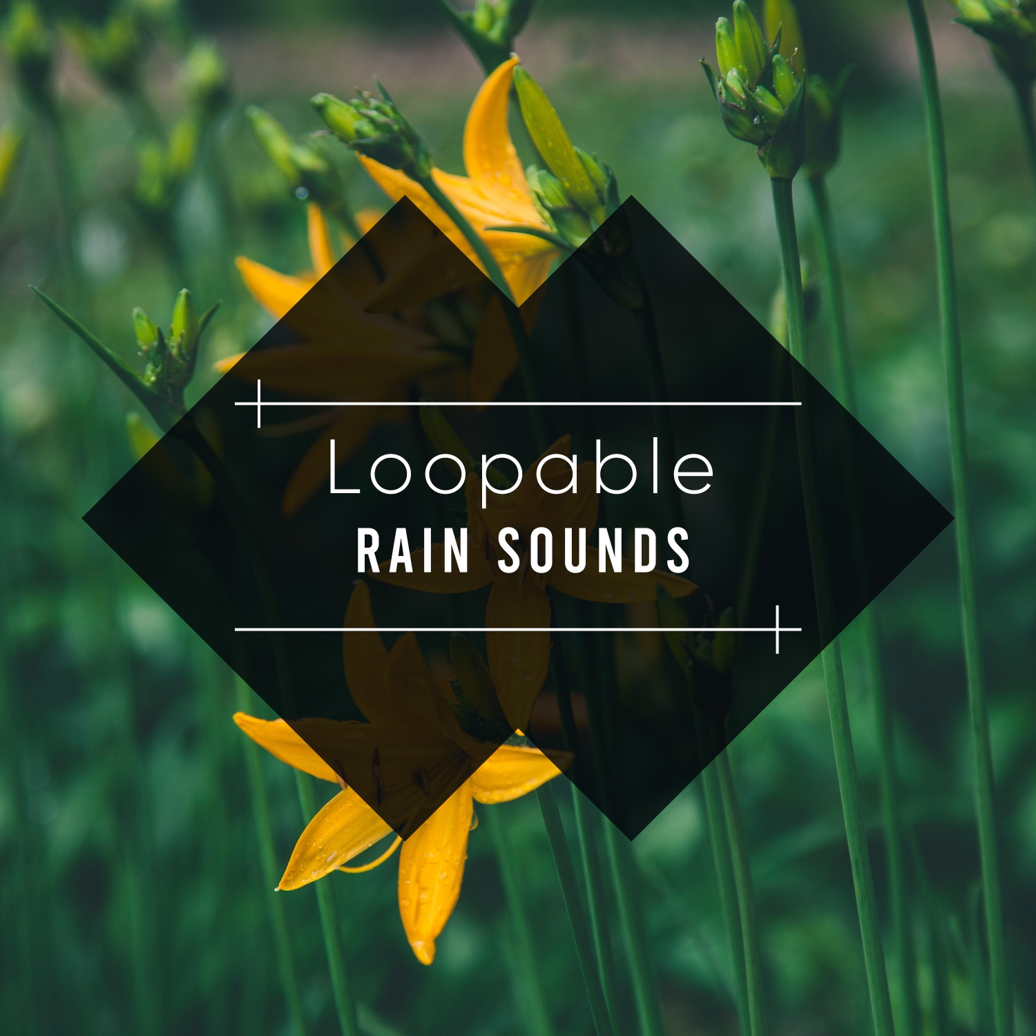 19 Loopable Rain Nature Sounds