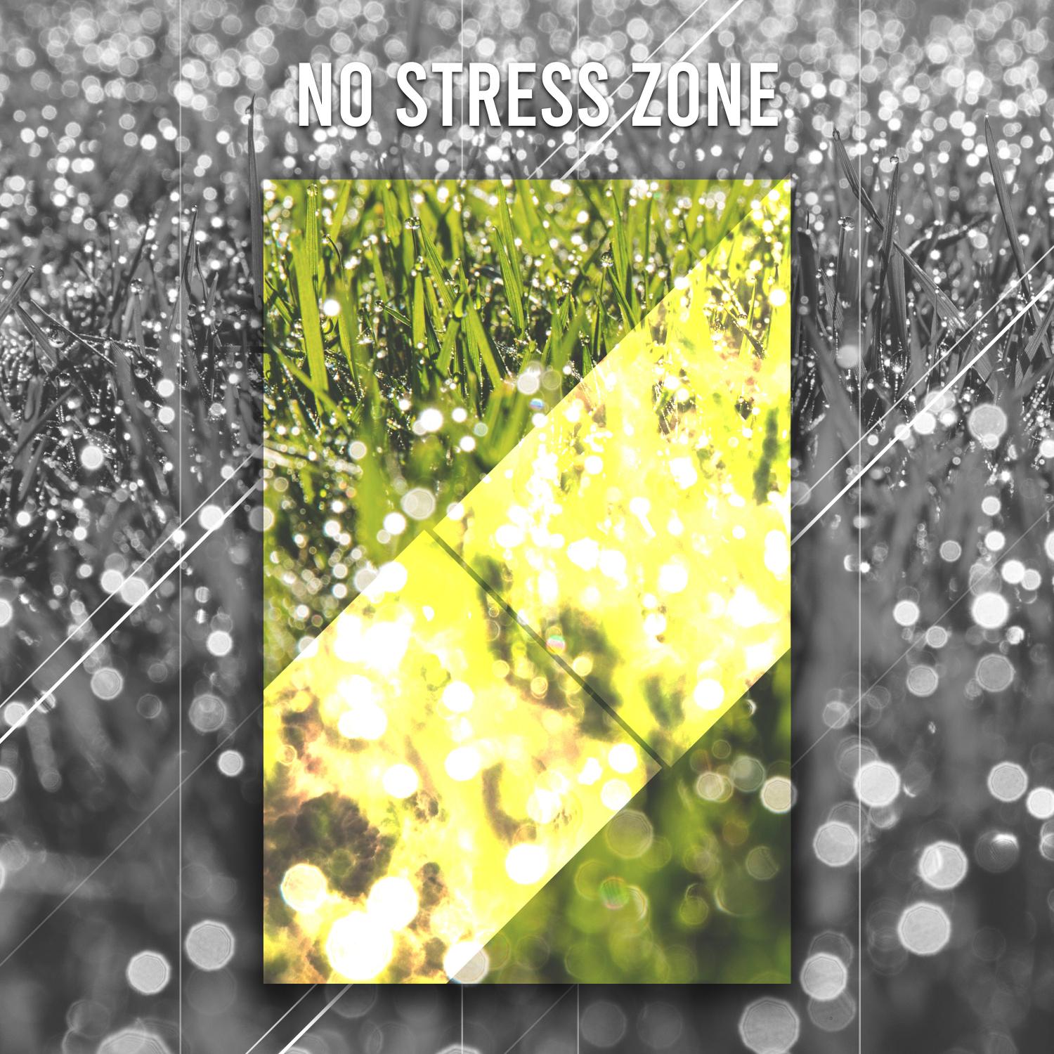 0 Stress Relaxation: 40 Rain Tracks