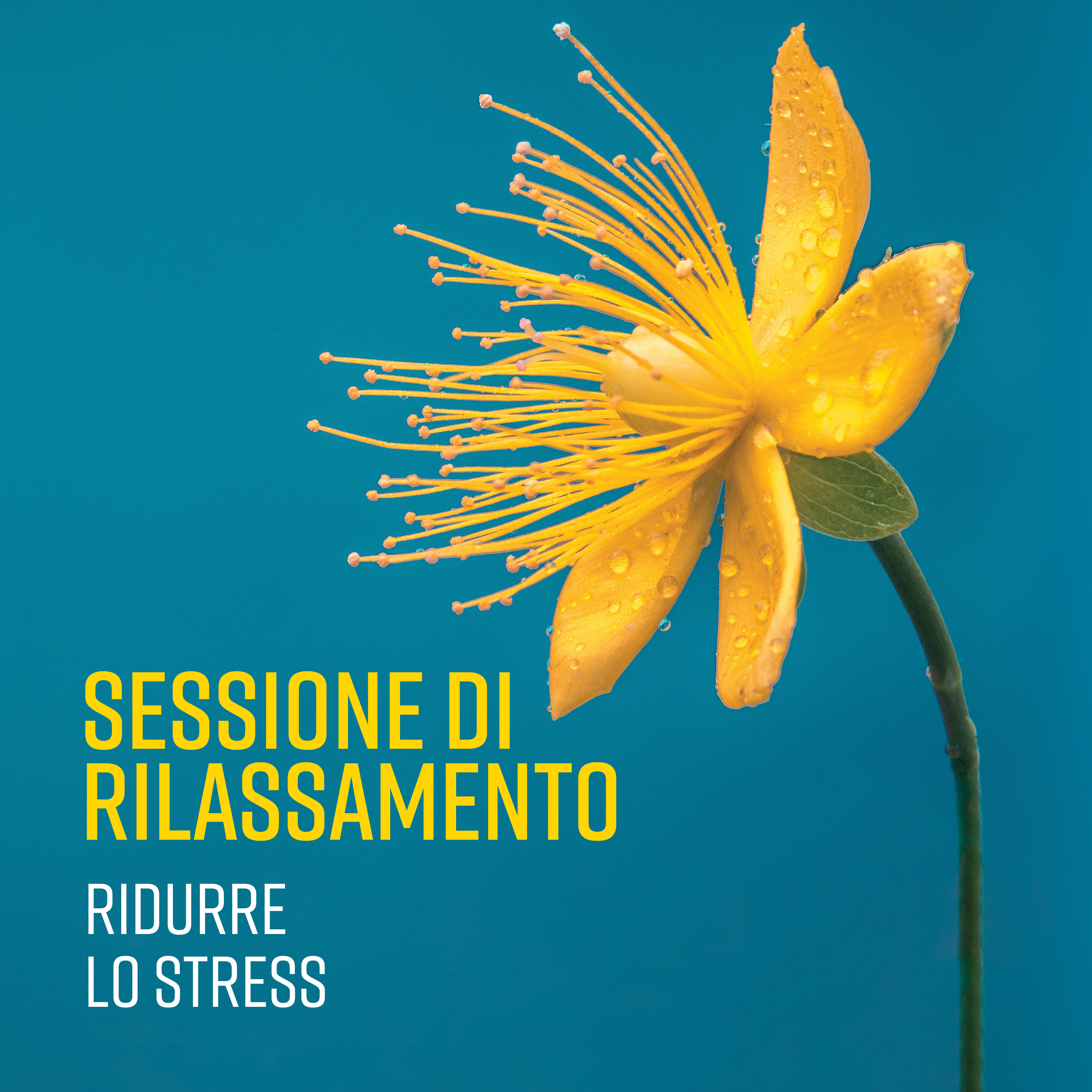 Sessione di rilassamento (Ridurre lo stress – Tranquillità, La vita in equilibrio, Meditazione calma, Yoga)