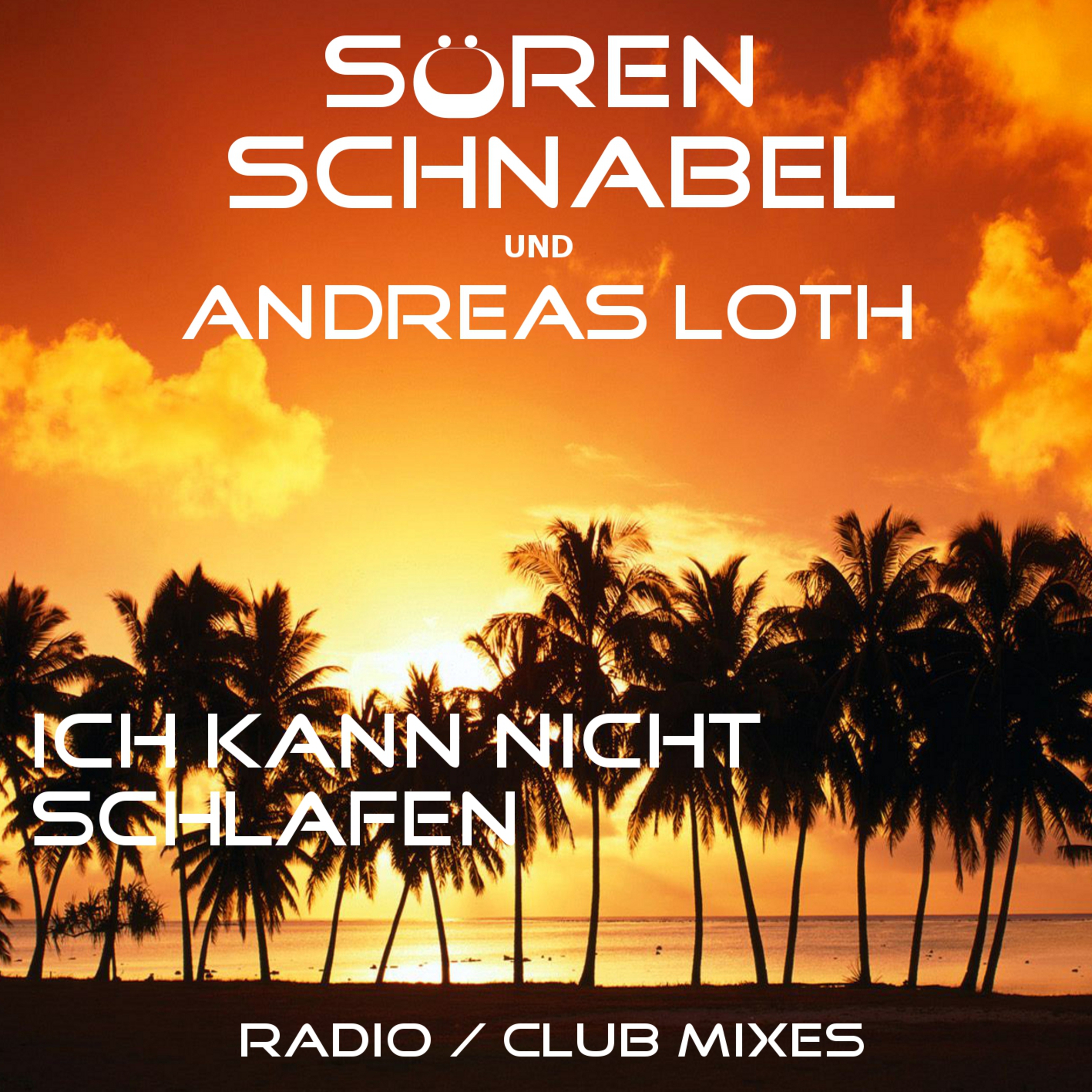 Ich Kann Nicht Schlafen (House Mix)