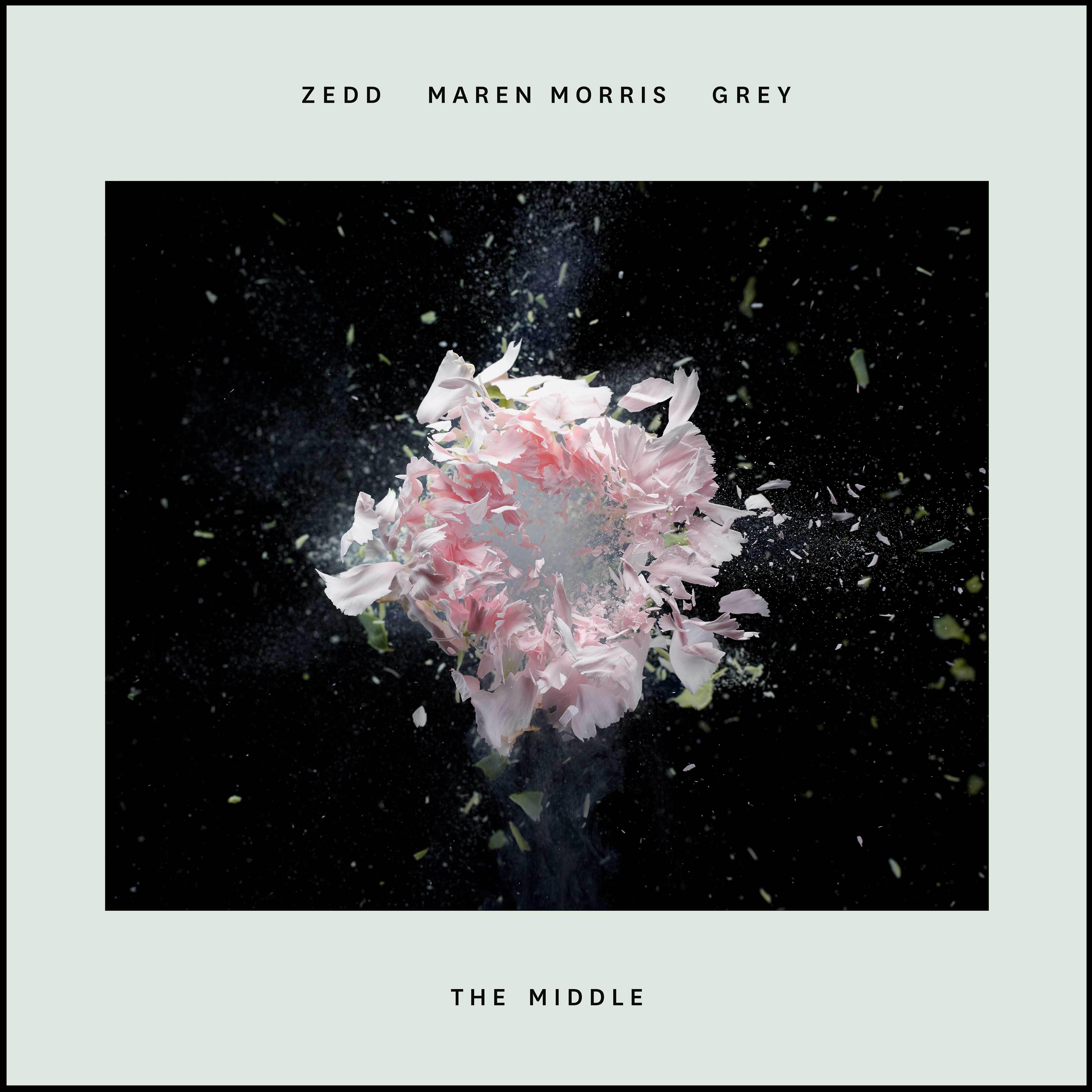 Maxence Luchi & Anne-Caroline Joy-Grey, Zedd, Maren Morris - The Middle（Johnson.W Remix）