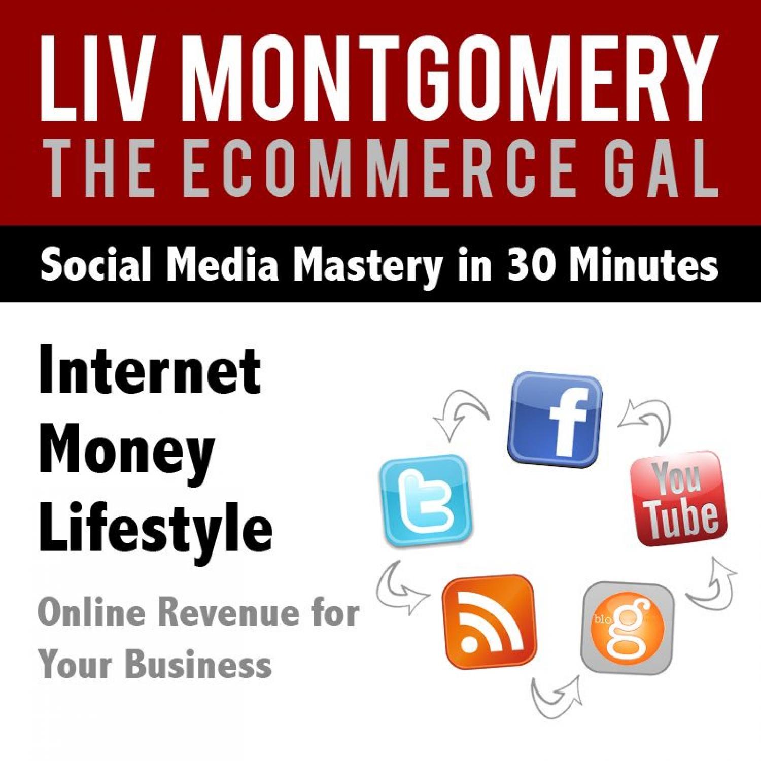 Internet Money Lifestyle: Online Revenue for Your Business, Part 1