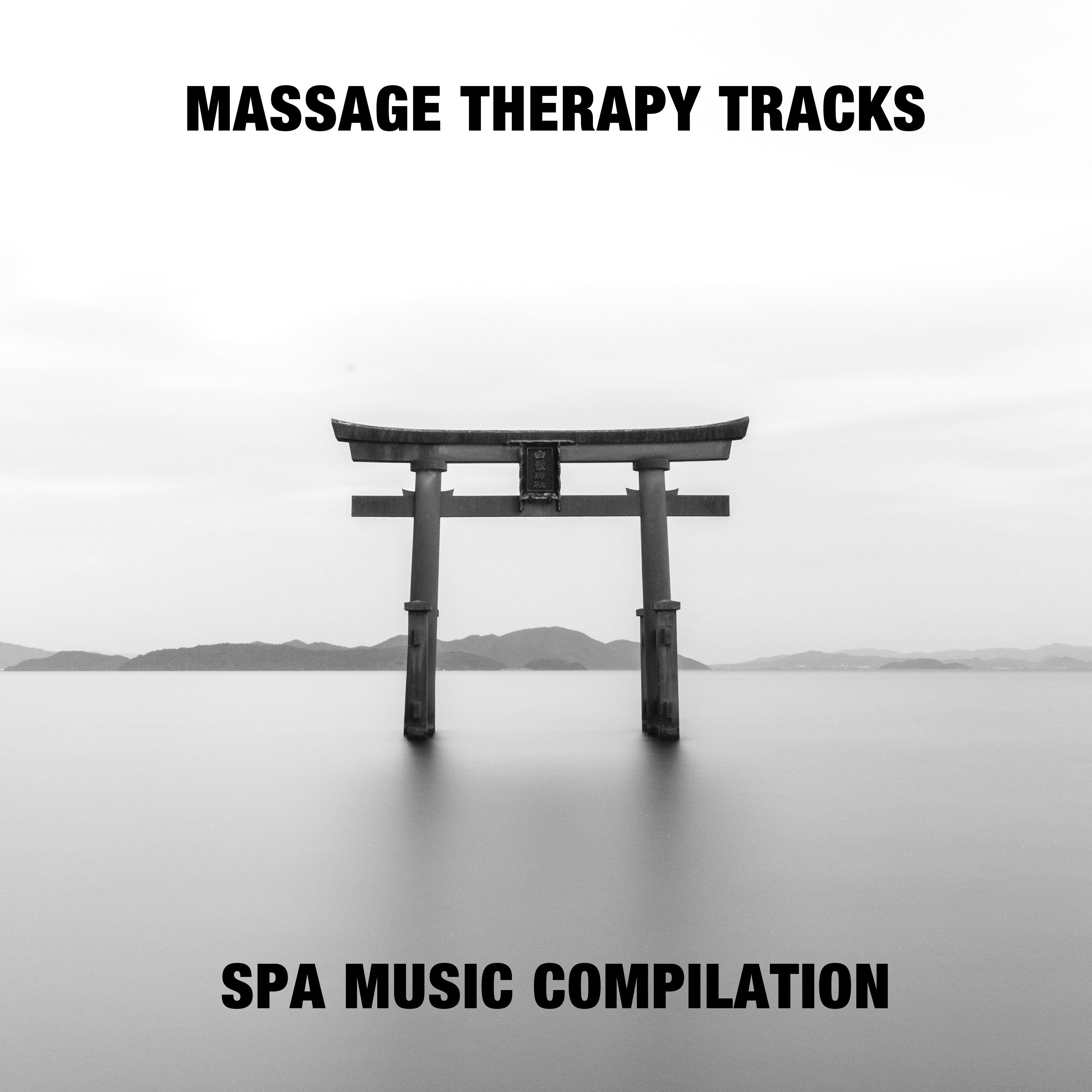 14 Massage Therapy Tracks - Spa Music Compilation