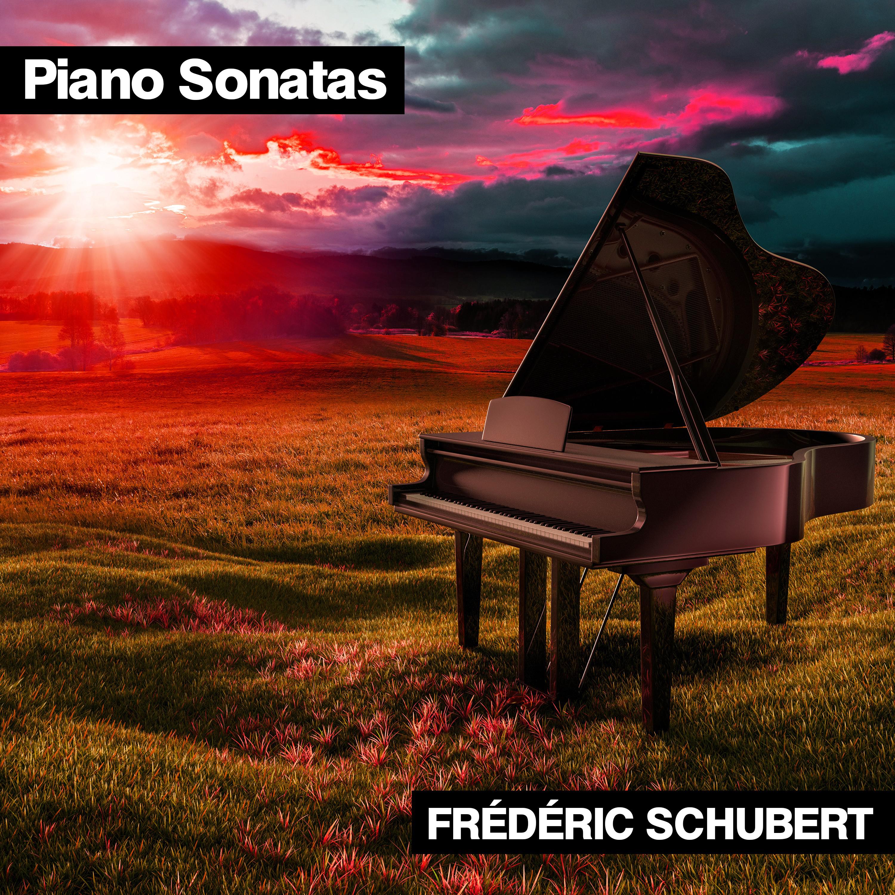 Piano Sonata No. 14 in C-Sharp Minor, Op. 27 No. 2 "Moonlight Sonata": I. Adagio Sostenuto