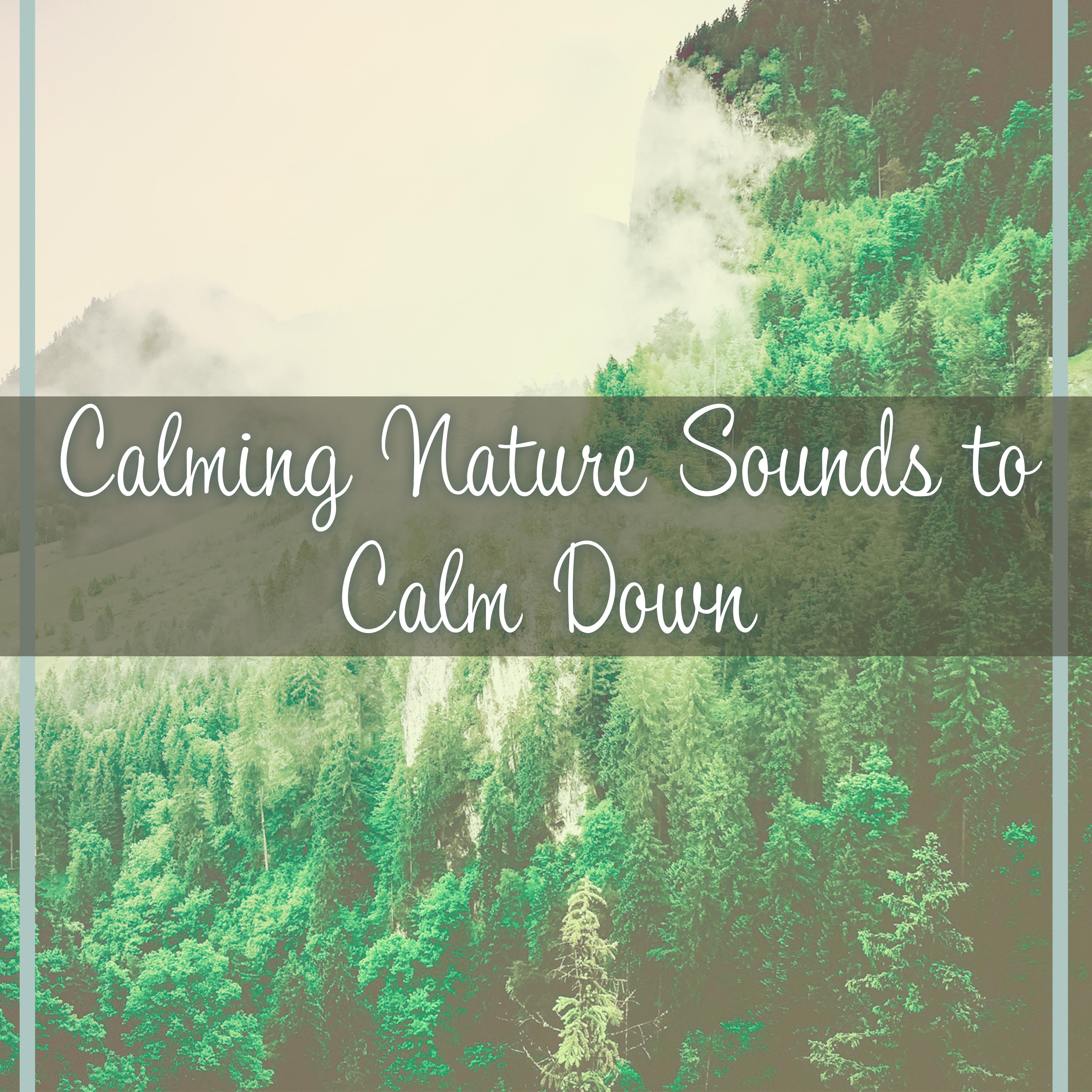 Calming Nature Sounds to Calm Down – Relaxing New Age Music, Stress Free, Mind Peace, Inner Silence